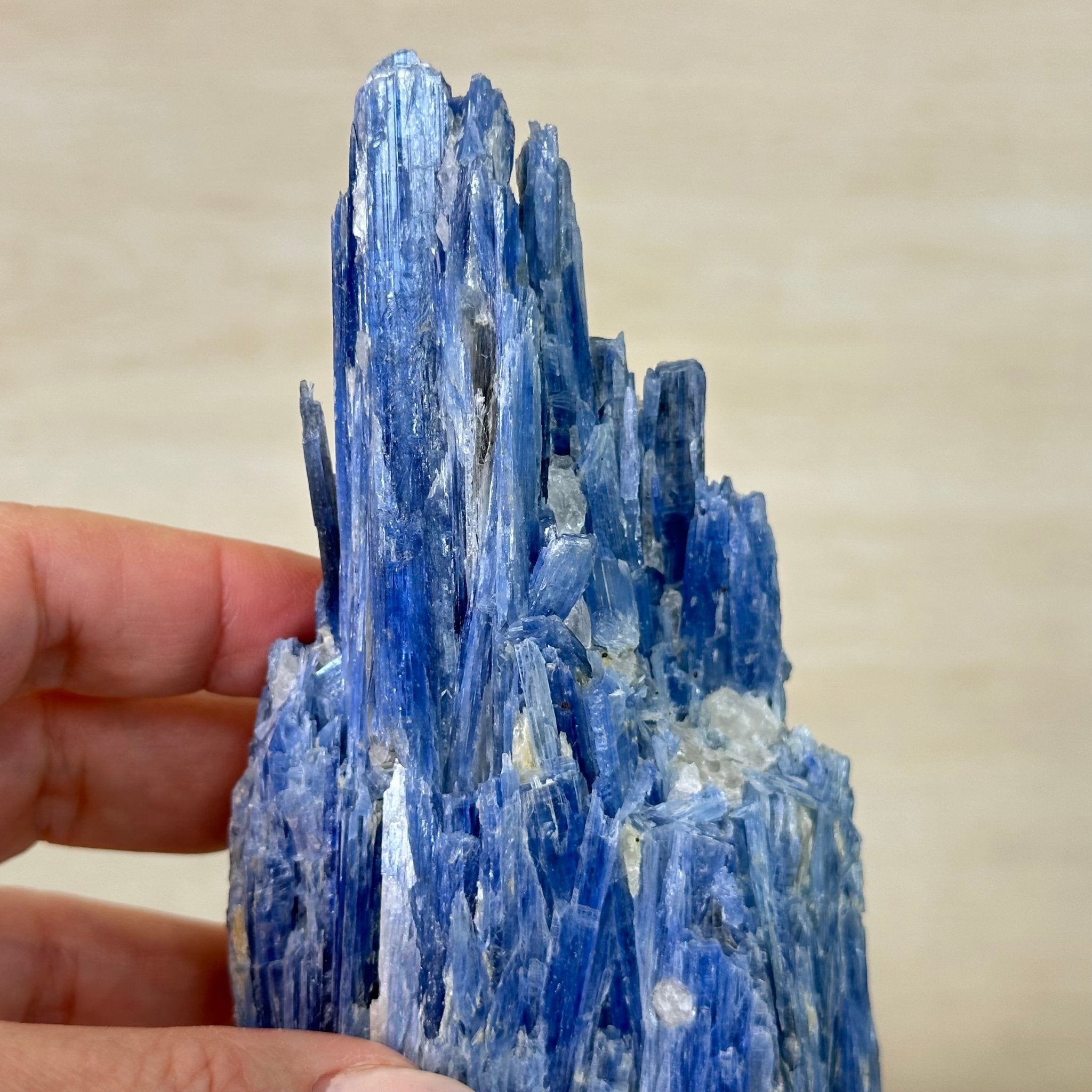 Kyanite Crystal on Metal Stand, 2.2 lbs & 10.5" Tall #6010 - 0012 - Brazil GemsBrazil GemsKyanite Crystal on Metal Stand, 2.2 lbs & 10.5" Tall #6010 - 0012Clusters on Fixed Bases6010 - 0012