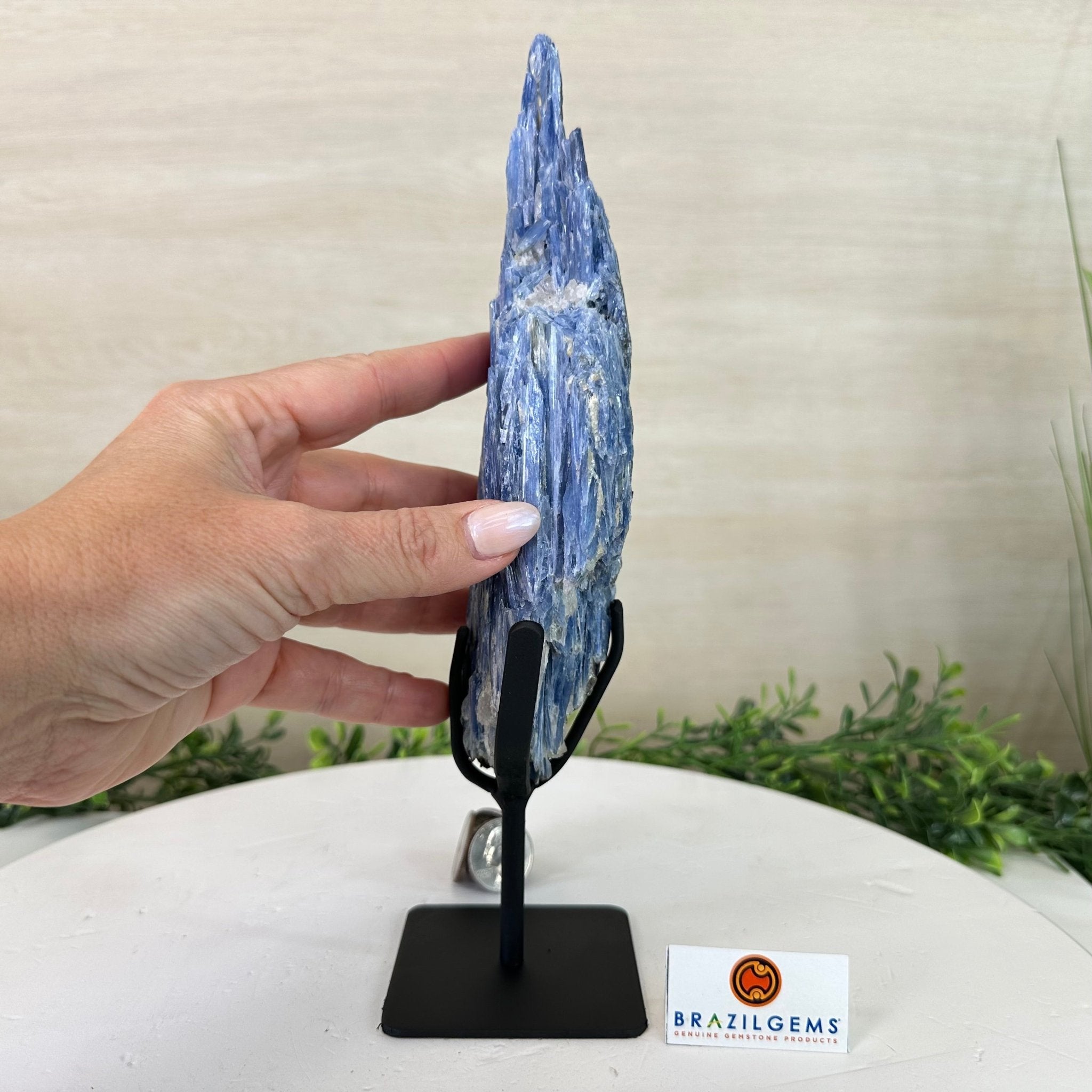 Kyanite Crystal on Metal Stand, 2.2 lbs & 10.5" Tall #6010 - 0012 - Brazil GemsBrazil GemsKyanite Crystal on Metal Stand, 2.2 lbs & 10.5" Tall #6010 - 0012Clusters on Fixed Bases6010 - 0012