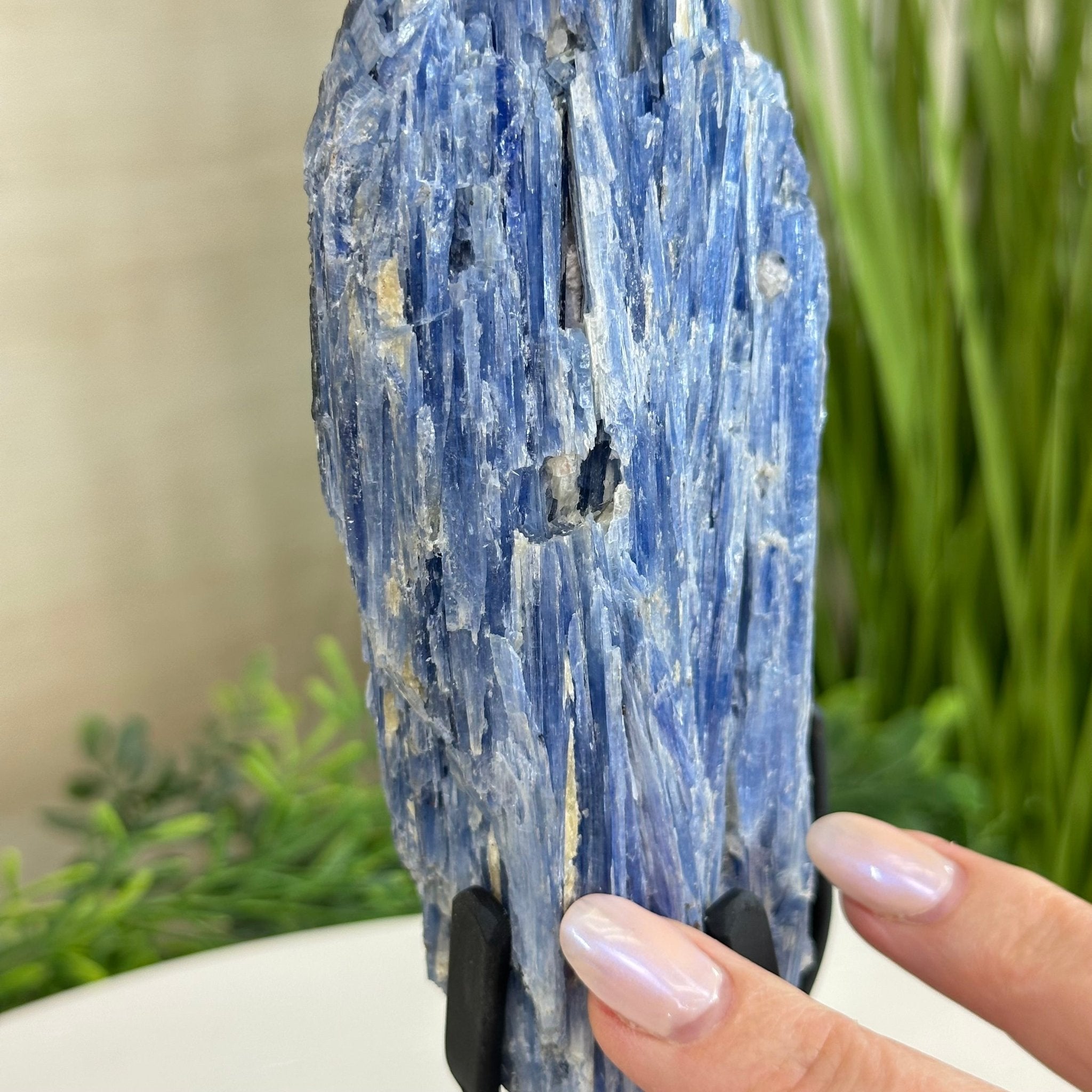 Kyanite Crystal on Metal Stand, 2.2 lbs & 10.5" Tall #6010 - 0012 - Brazil GemsBrazil GemsKyanite Crystal on Metal Stand, 2.2 lbs & 10.5" Tall #6010 - 0012Clusters on Fixed Bases6010 - 0012