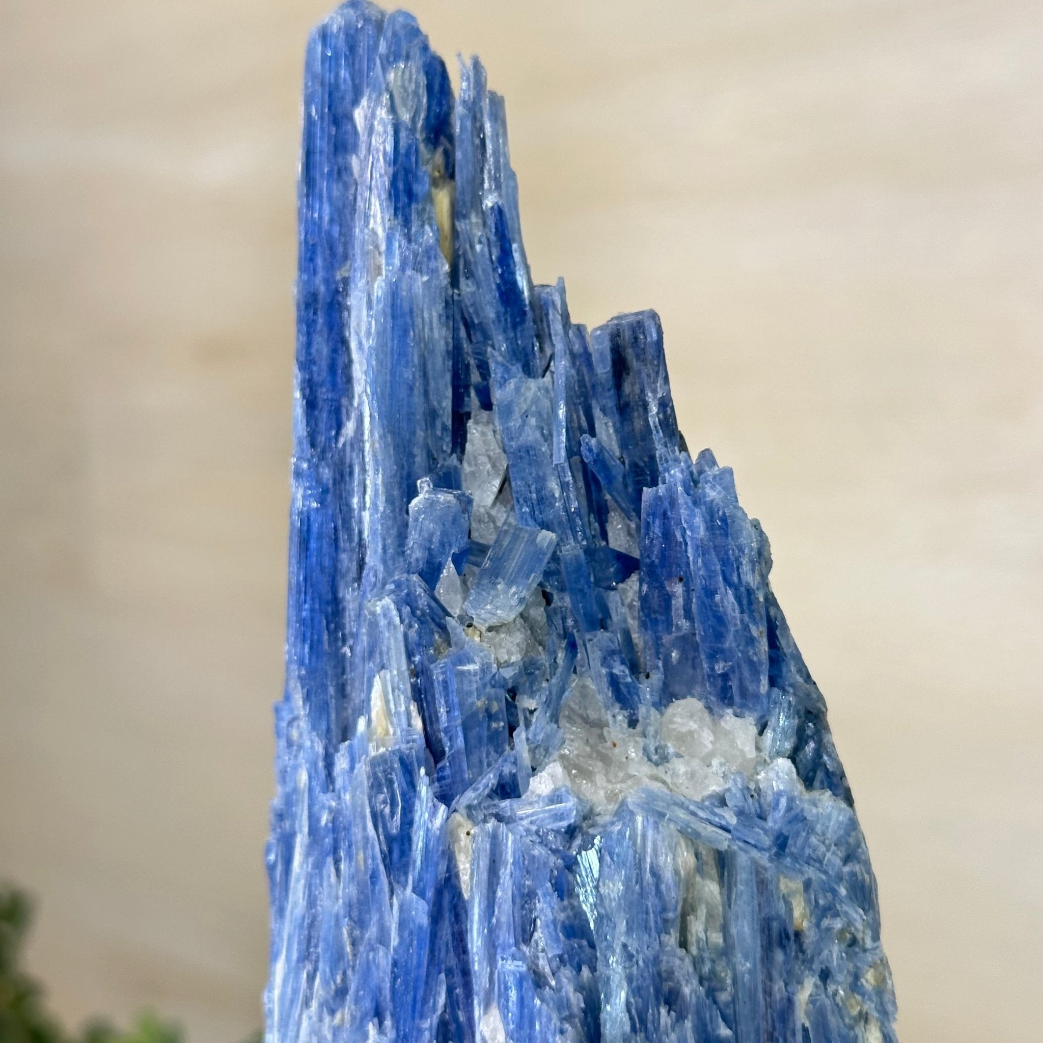 Kyanite Crystal on Metal Stand, 2.2 lbs & 10.5" Tall #6010 - 0012 - Brazil GemsBrazil GemsKyanite Crystal on Metal Stand, 2.2 lbs & 10.5" Tall #6010 - 0012Clusters on Fixed Bases6010 - 0012