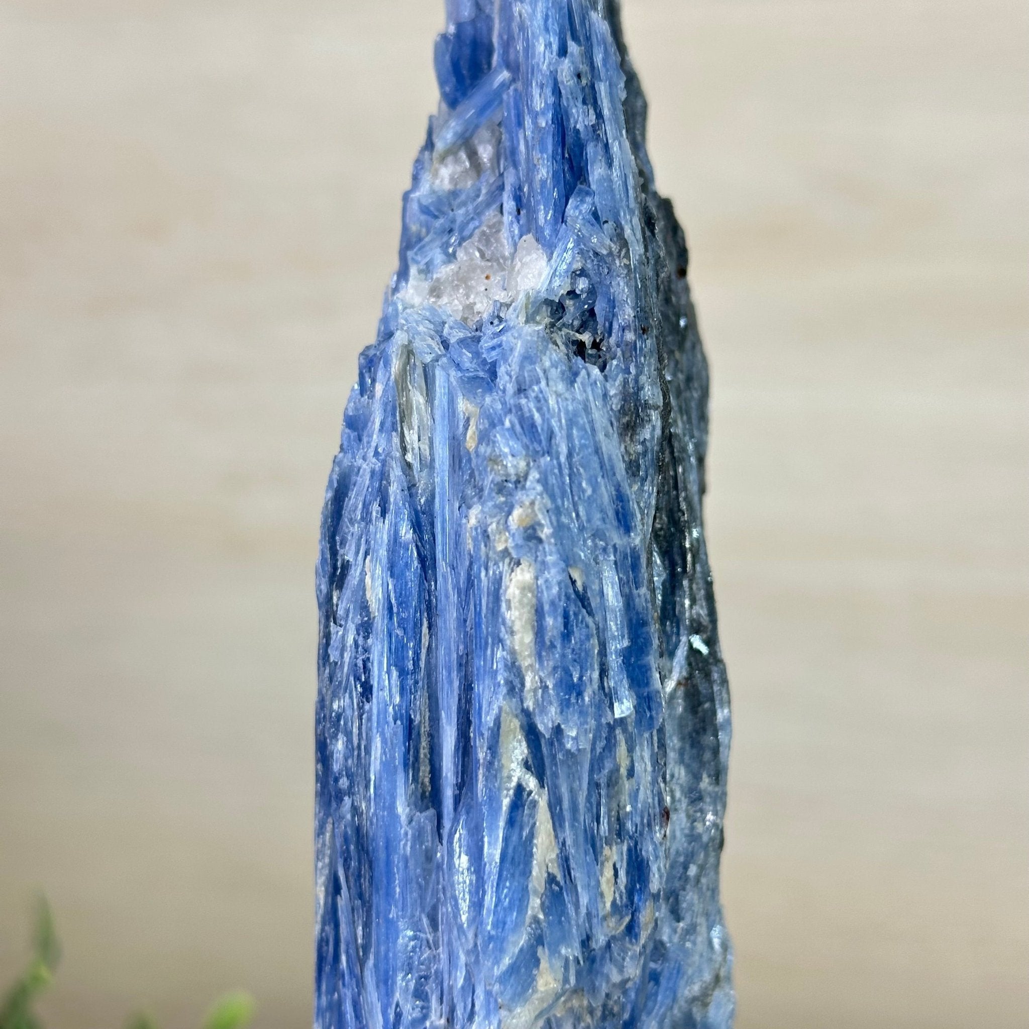 Kyanite Crystal on Metal Stand, 2.2 lbs & 10.5" Tall #6010 - 0012 - Brazil GemsBrazil GemsKyanite Crystal on Metal Stand, 2.2 lbs & 10.5" Tall #6010 - 0012Clusters on Fixed Bases6010 - 0012