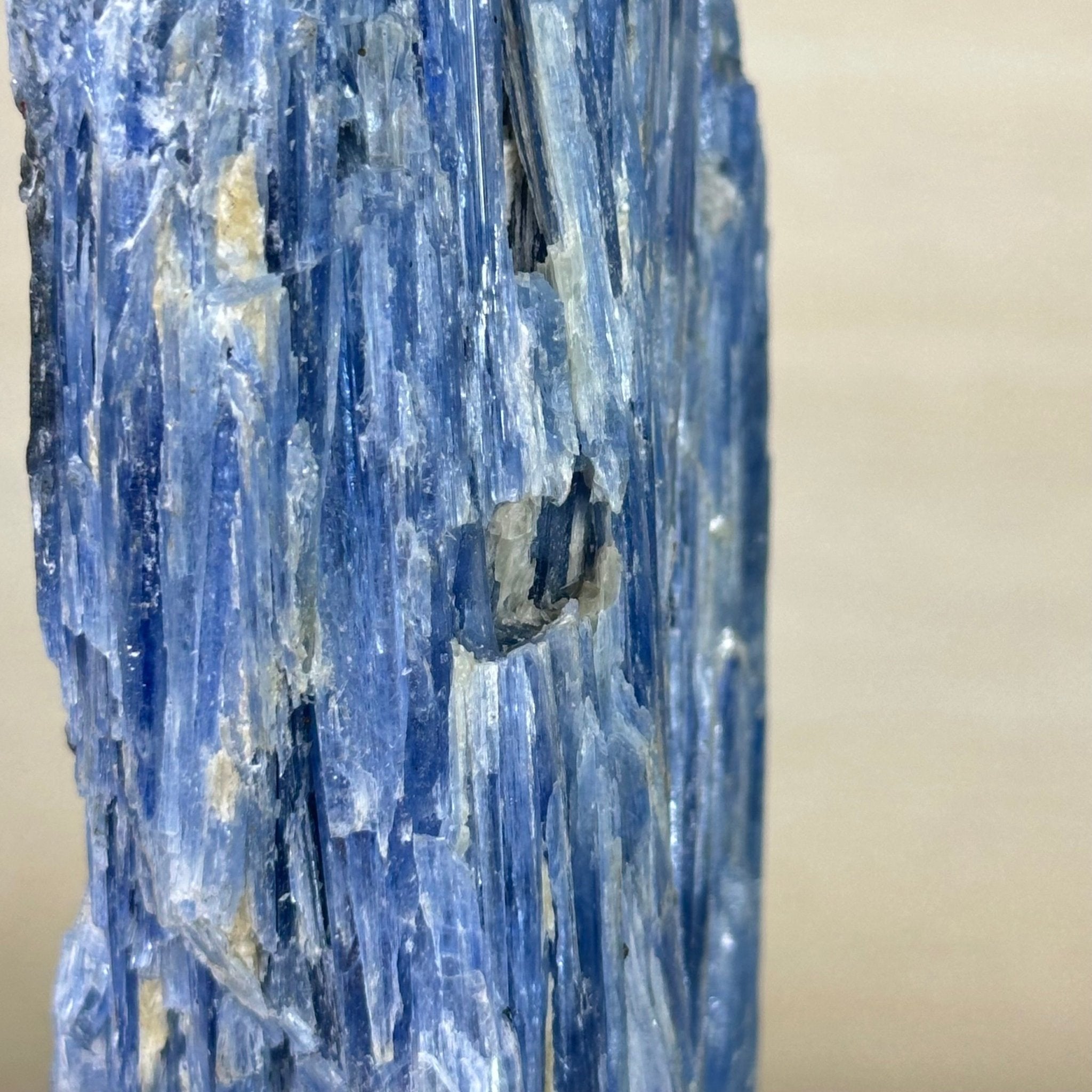 Kyanite Crystal on Metal Stand, 2.2 lbs & 10.5" Tall #6010 - 0012 - Brazil GemsBrazil GemsKyanite Crystal on Metal Stand, 2.2 lbs & 10.5" Tall #6010 - 0012Clusters on Fixed Bases6010 - 0012