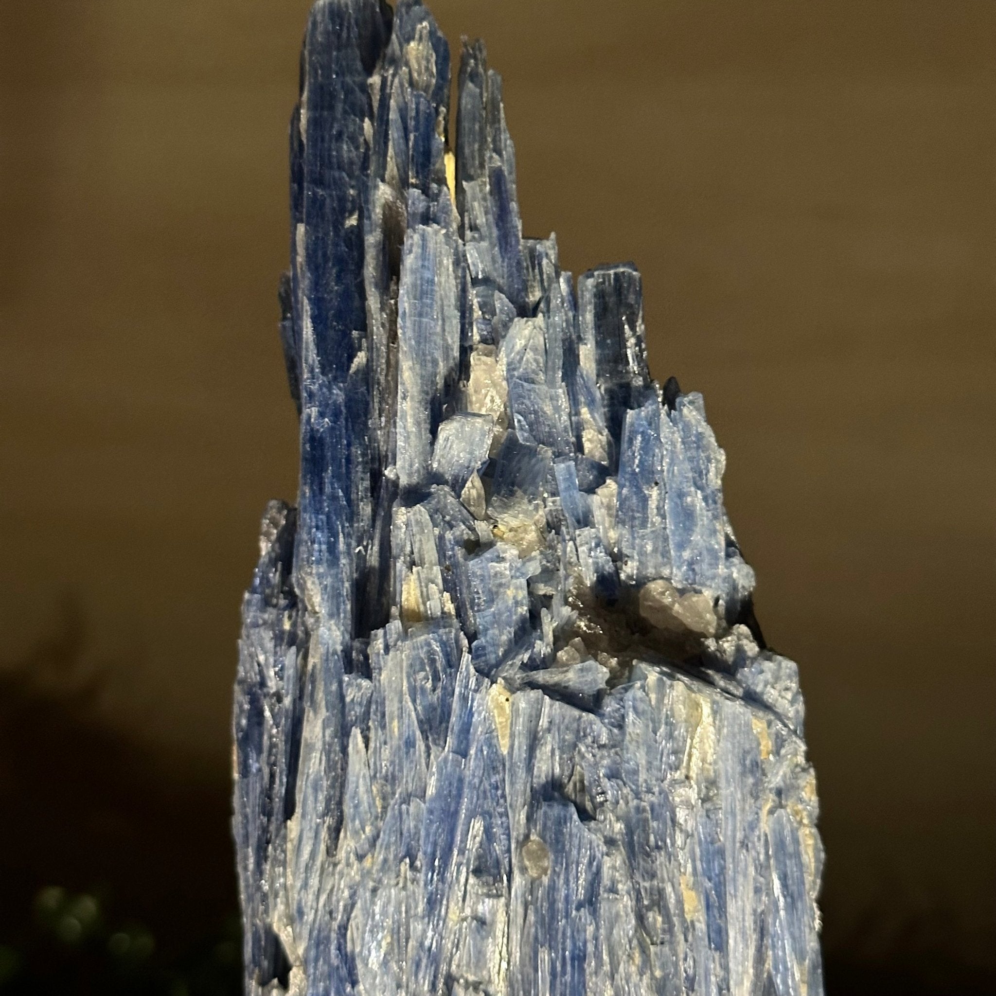 Kyanite Crystal on Metal Stand, 2.2 lbs & 10.5" Tall #6010 - 0012 - Brazil GemsBrazil GemsKyanite Crystal on Metal Stand, 2.2 lbs & 10.5" Tall #6010 - 0012Clusters on Fixed Bases6010 - 0012