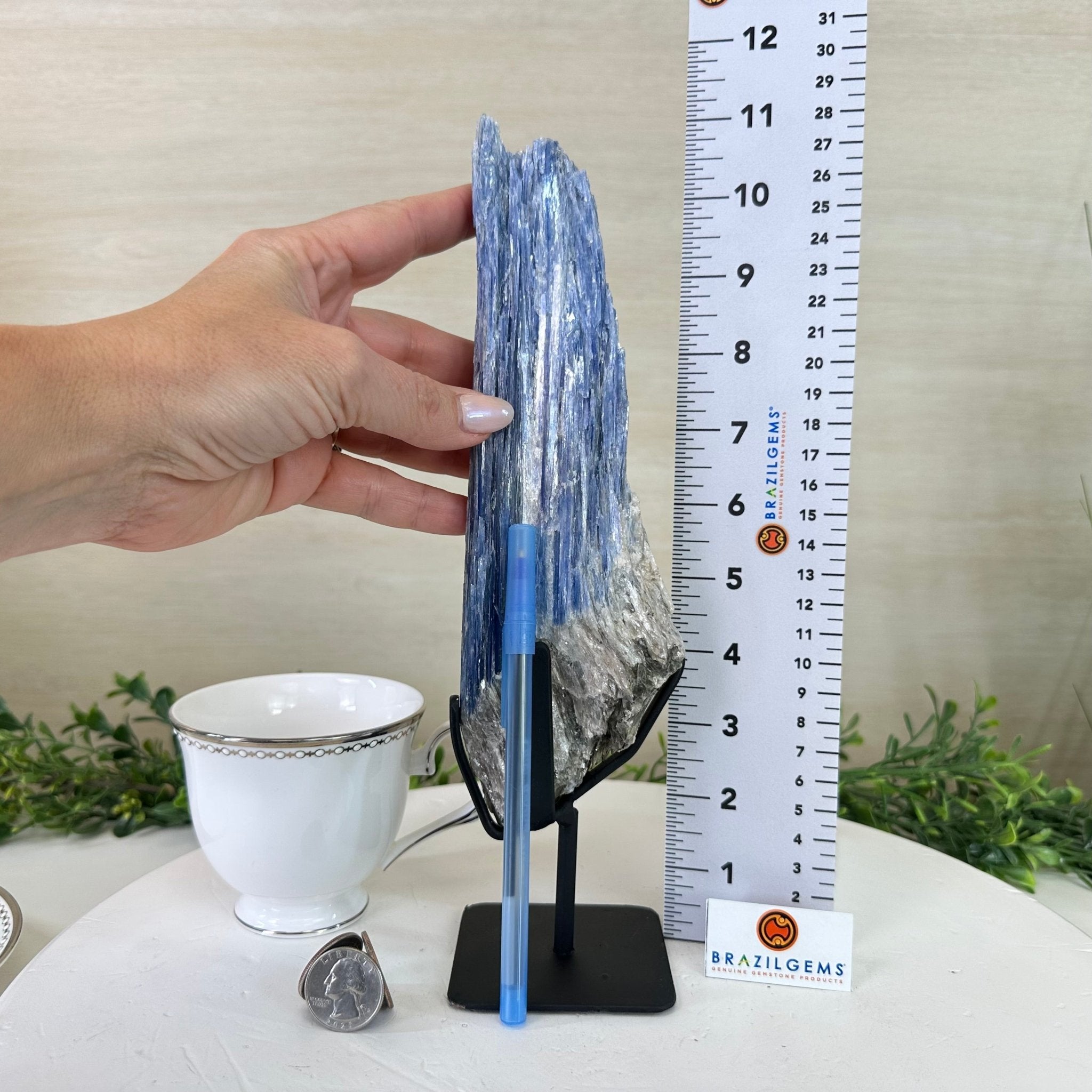 Kyanite Crystal on Metal Stand, 2.2 lbs & 11.1" Tall #6010 - 0010 - Brazil GemsBrazil GemsKyanite Crystal on Metal Stand, 2.2 lbs & 11.1" Tall #6010 - 0010Clusters on Fixed Bases6010 - 0010