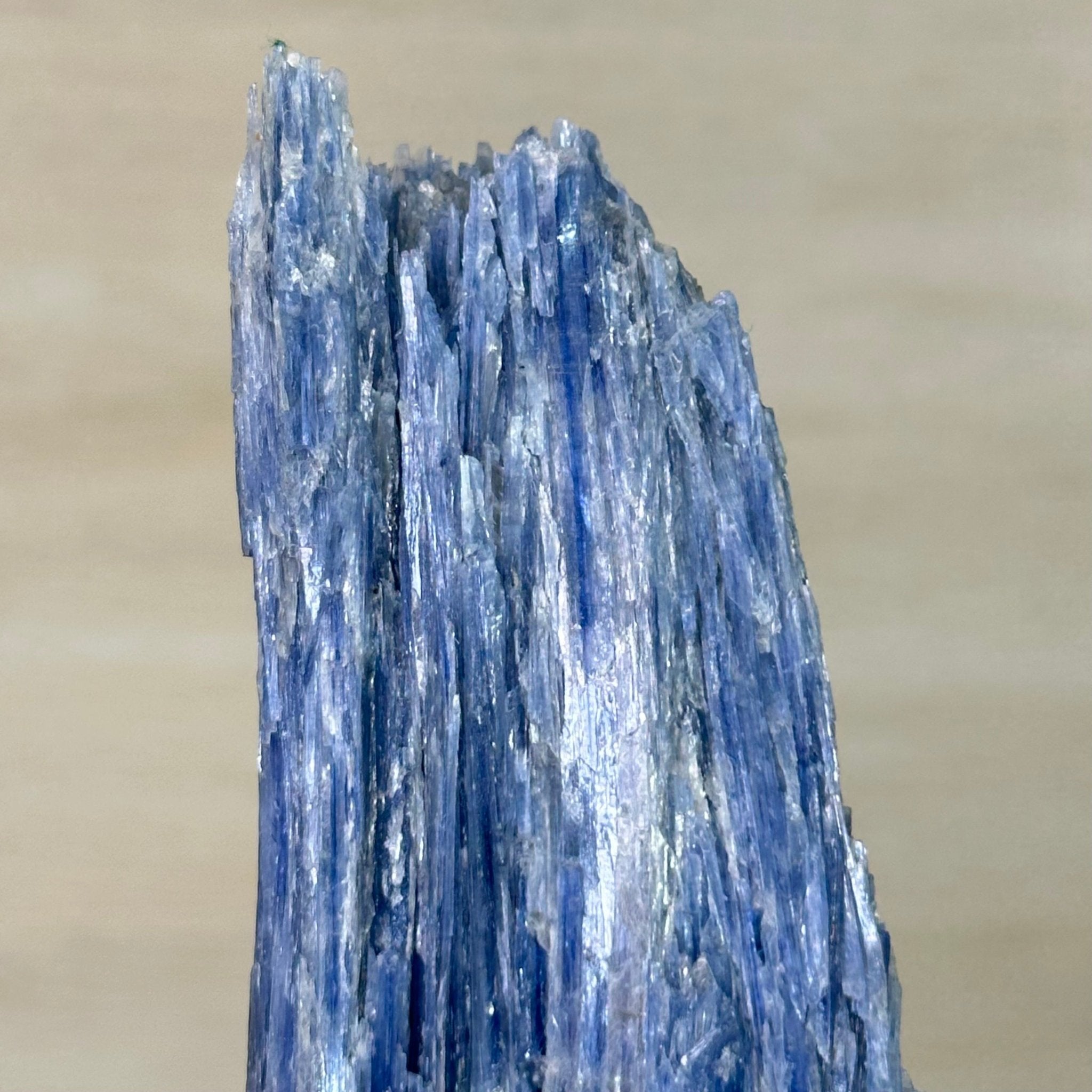 Kyanite Crystal on Metal Stand, 2.2 lbs & 11.1" Tall #6010 - 0010 - Brazil GemsBrazil GemsKyanite Crystal on Metal Stand, 2.2 lbs & 11.1" Tall #6010 - 0010Clusters on Fixed Bases6010 - 0010