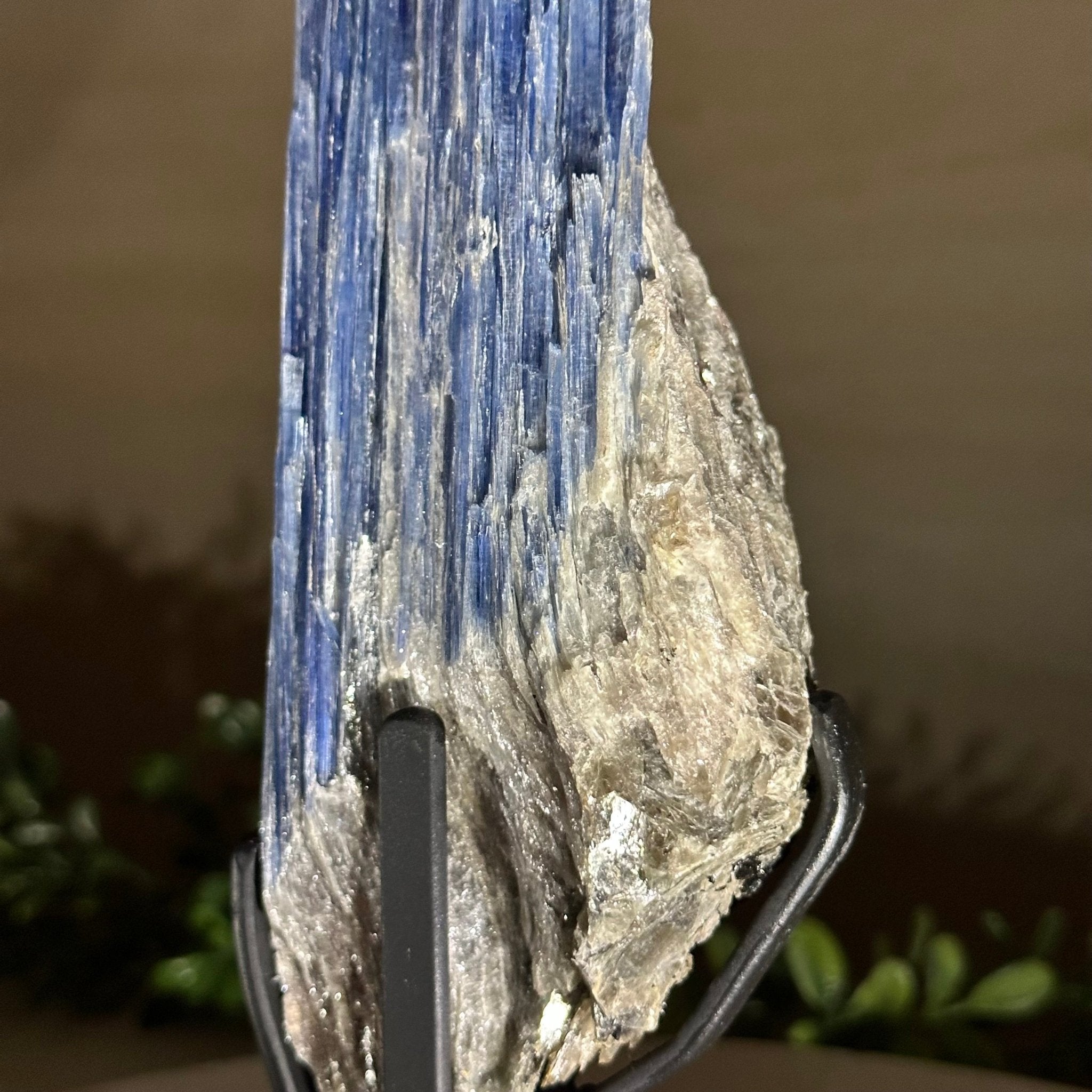 Kyanite Crystal on Metal Stand, 2.2 lbs & 11.1" Tall #6010 - 0010 - Brazil GemsBrazil GemsKyanite Crystal on Metal Stand, 2.2 lbs & 11.1" Tall #6010 - 0010Clusters on Fixed Bases6010 - 0010