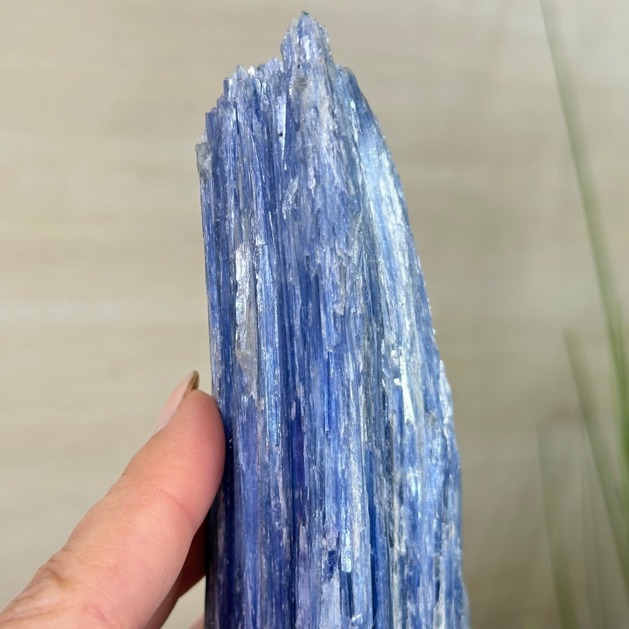 Kyanite Crystal on Metal Stand, 2.2 lbs & 11.1" Tall #6010 - 0010 - Brazil GemsBrazil GemsKyanite Crystal on Metal Stand, 2.2 lbs & 11.1" Tall #6010 - 0010Clusters on Fixed Bases6010 - 0010