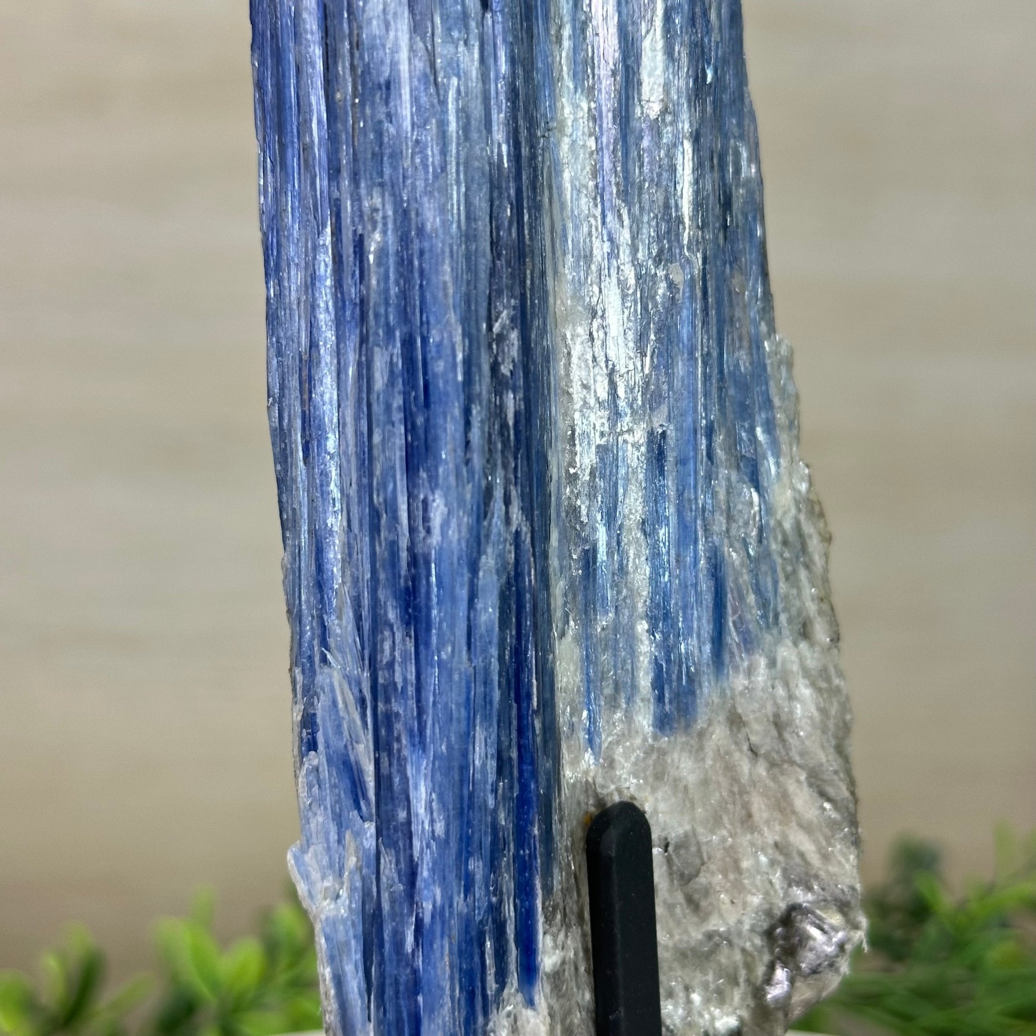 Kyanite Crystal on Metal Stand, 2.2 lbs & 11.1" Tall #6010 - 0010 - Brazil GemsBrazil GemsKyanite Crystal on Metal Stand, 2.2 lbs & 11.1" Tall #6010 - 0010Clusters on Fixed Bases6010 - 0010