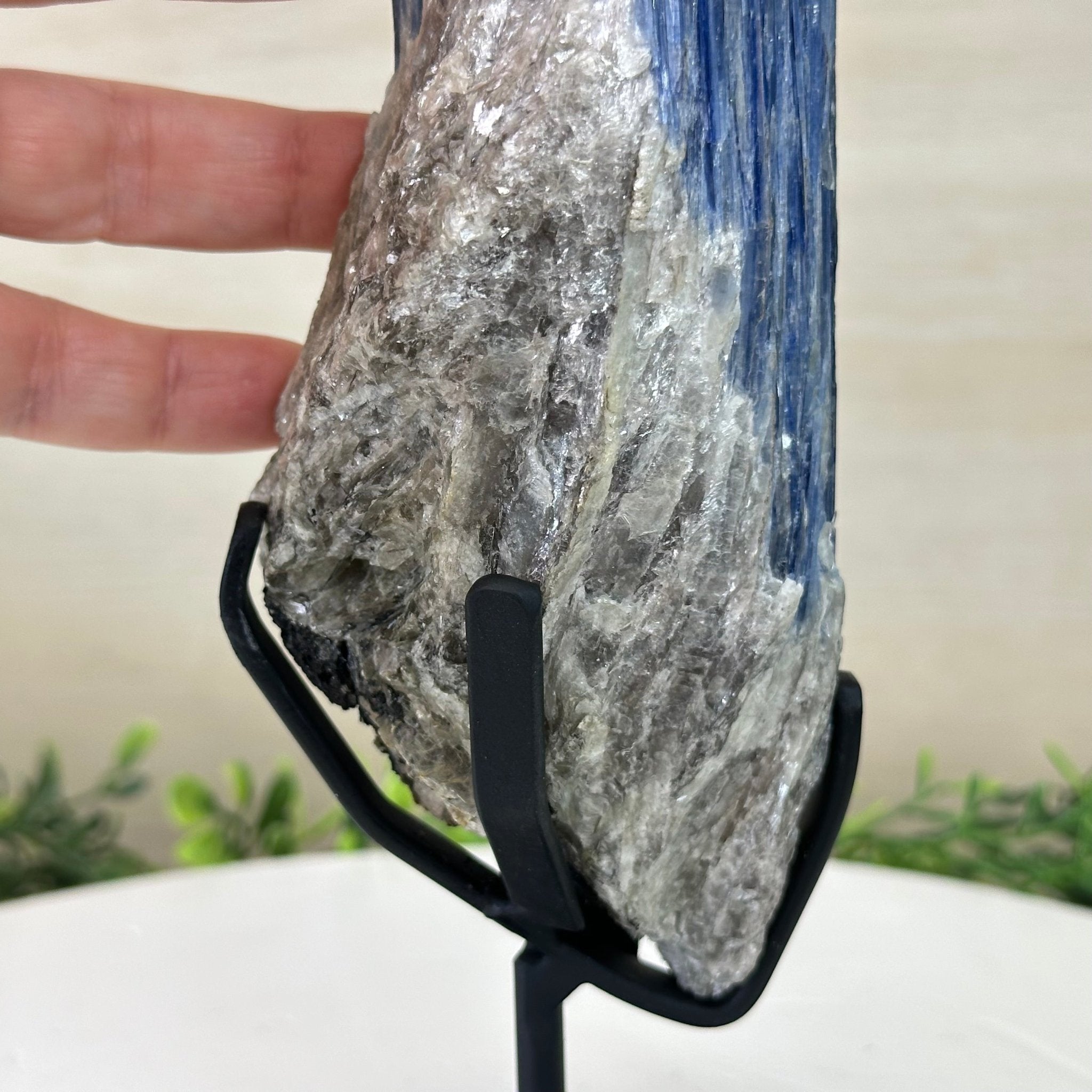 Kyanite Crystal on Metal Stand, 2.2 lbs & 11.1" Tall #6010 - 0010 - Brazil GemsBrazil GemsKyanite Crystal on Metal Stand, 2.2 lbs & 11.1" Tall #6010 - 0010Clusters on Fixed Bases6010 - 0010