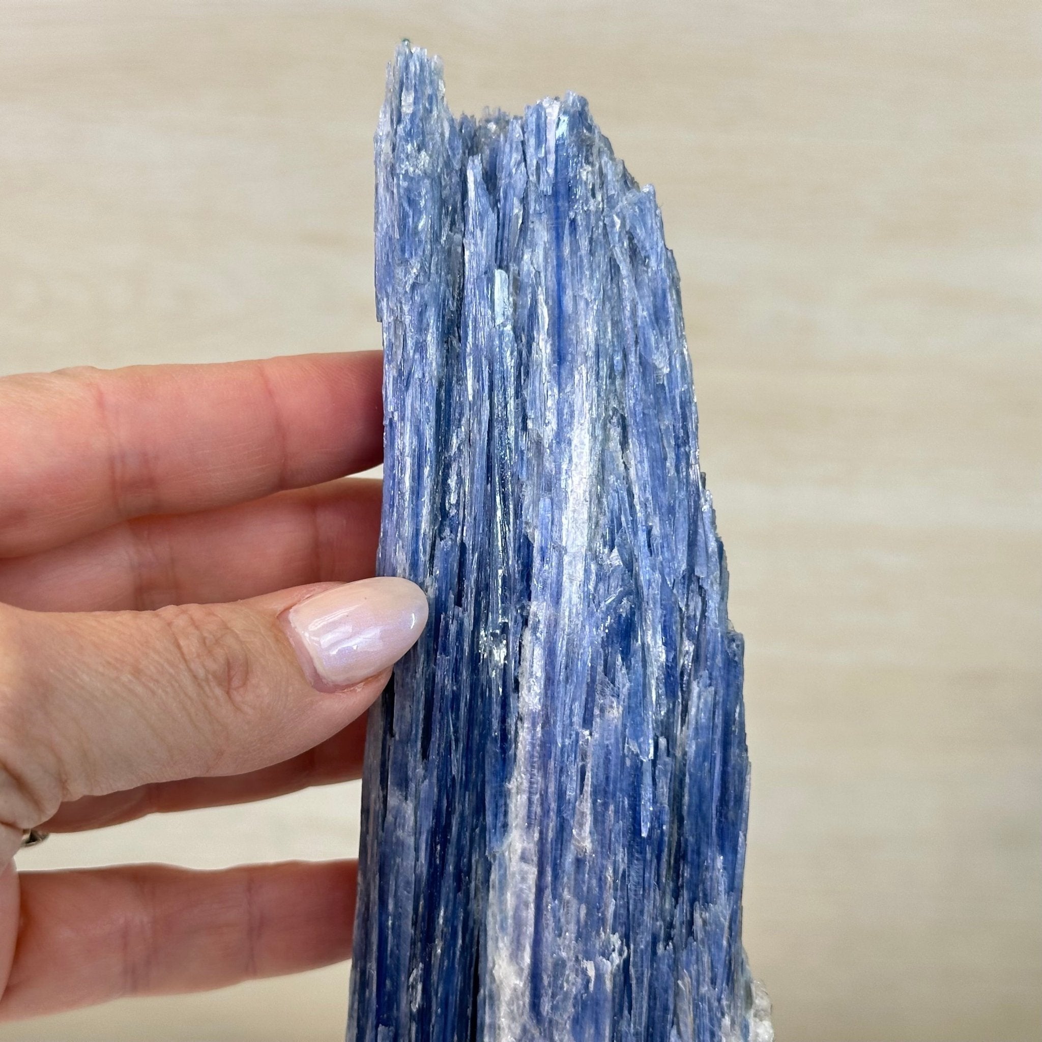 Kyanite Crystal on Metal Stand, 2.2 lbs & 11.1" Tall #6010 - 0010 - Brazil GemsBrazil GemsKyanite Crystal on Metal Stand, 2.2 lbs & 11.1" Tall #6010 - 0010Clusters on Fixed Bases6010 - 0010