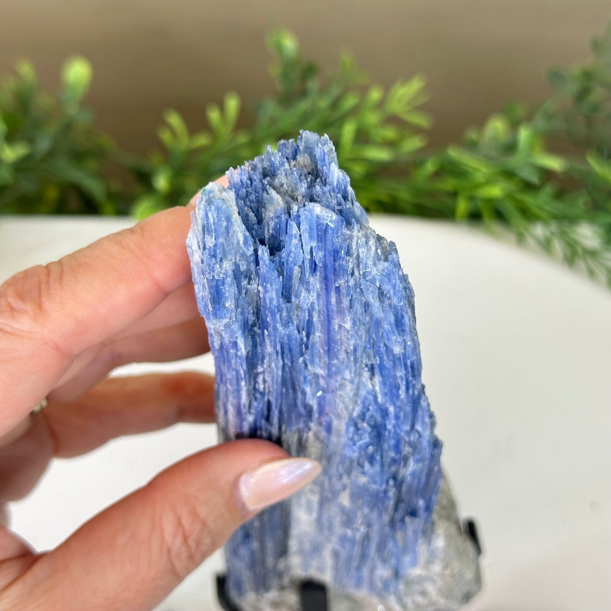 Kyanite Crystal on Metal Stand, 2.2 lbs & 11.1" Tall #6010 - 0010 - Brazil GemsBrazil GemsKyanite Crystal on Metal Stand, 2.2 lbs & 11.1" Tall #6010 - 0010Clusters on Fixed Bases6010 - 0010