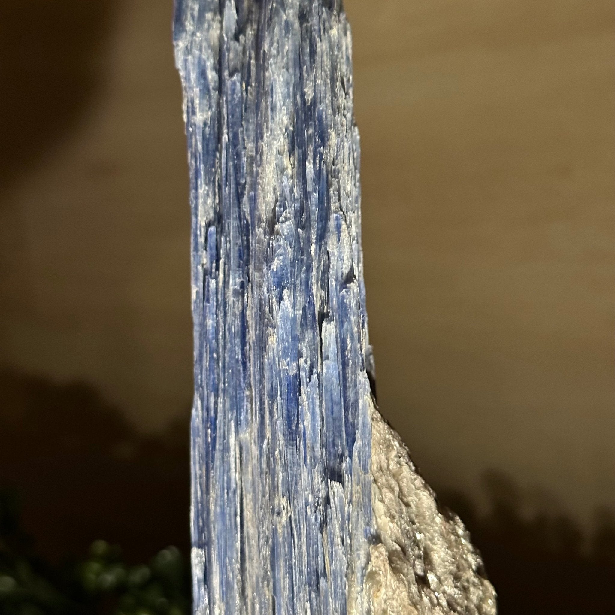 Kyanite Crystal on Metal Stand, 2.2 lbs & 11.1" Tall #6010 - 0010 - Brazil GemsBrazil GemsKyanite Crystal on Metal Stand, 2.2 lbs & 11.1" Tall #6010 - 0010Clusters on Fixed Bases6010 - 0010