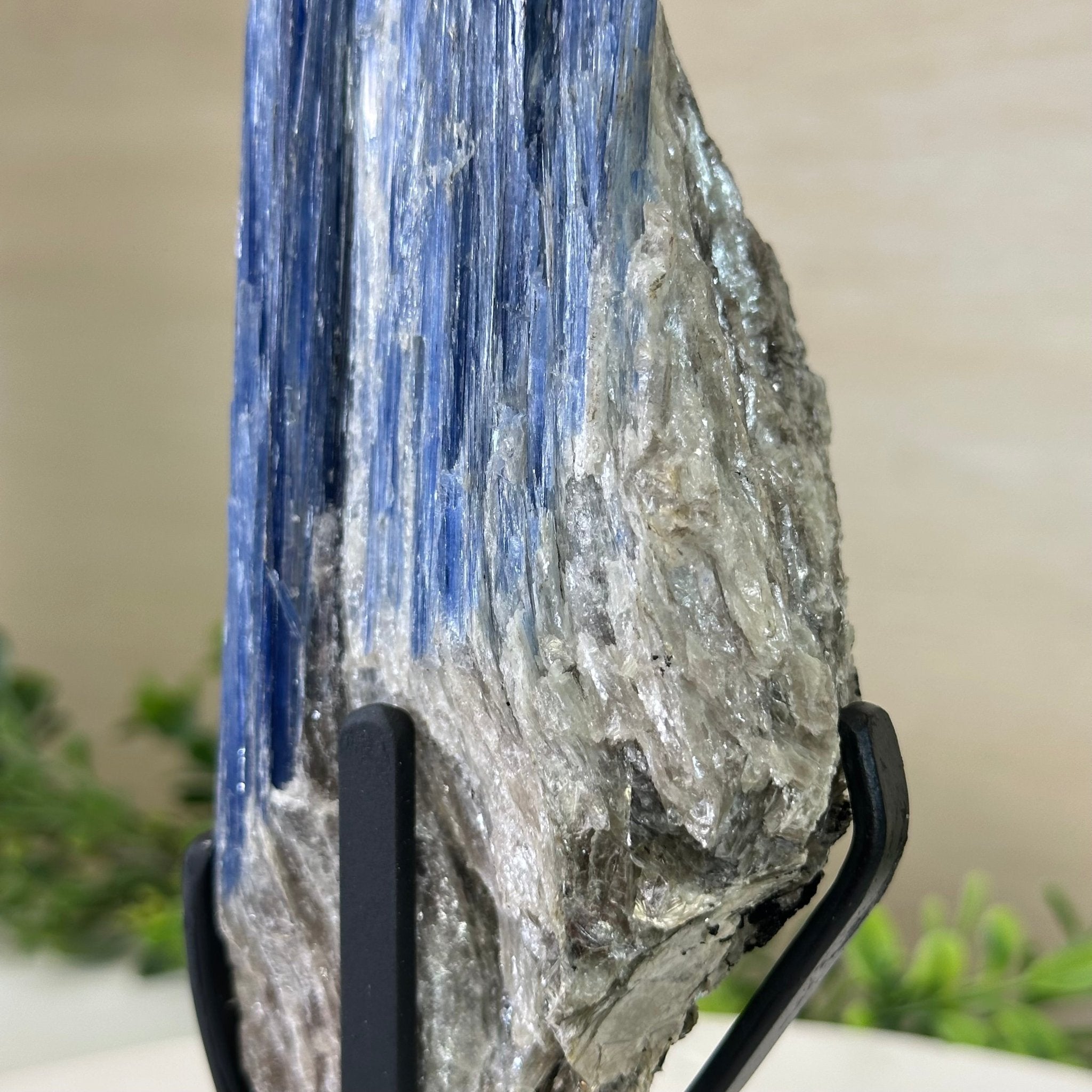 Kyanite Crystal on Metal Stand, 2.2 lbs & 11.1" Tall #6010 - 0010 - Brazil GemsBrazil GemsKyanite Crystal on Metal Stand, 2.2 lbs & 11.1" Tall #6010 - 0010Clusters on Fixed Bases6010 - 0010