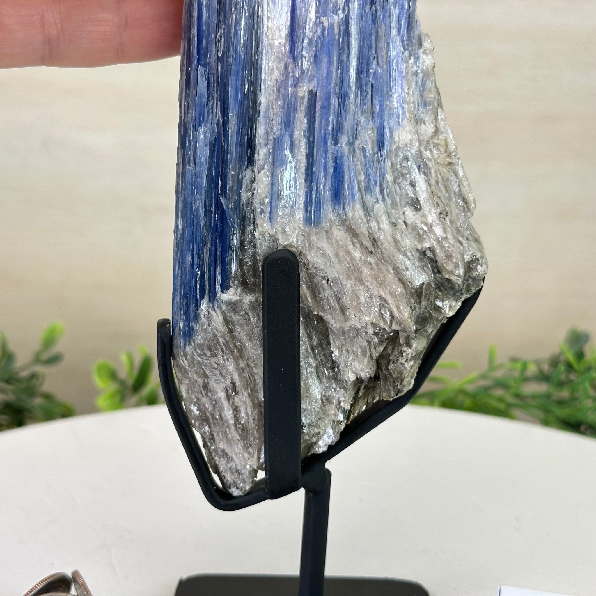 Kyanite Crystal on Metal Stand, 2.2 lbs & 11.1" Tall #6010 - 0010 - Brazil GemsBrazil GemsKyanite Crystal on Metal Stand, 2.2 lbs & 11.1" Tall #6010 - 0010Clusters on Fixed Bases6010 - 0010