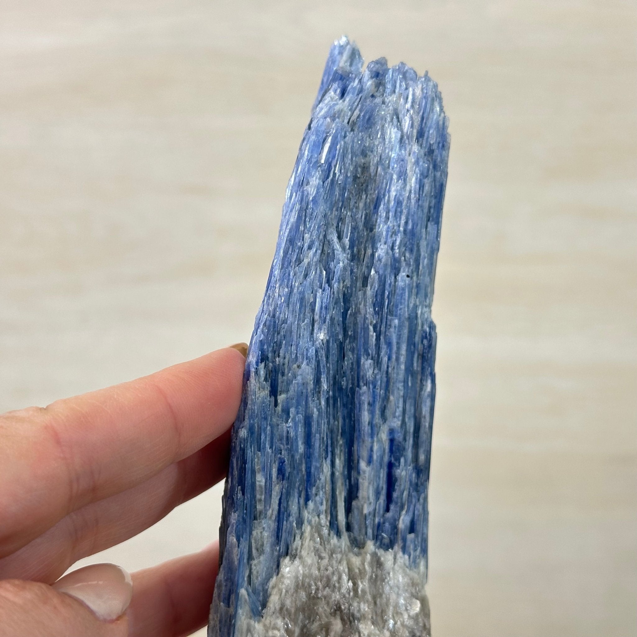 Kyanite Crystal on Metal Stand, 2.2 lbs & 11.1" Tall #6010 - 0010 - Brazil GemsBrazil GemsKyanite Crystal on Metal Stand, 2.2 lbs & 11.1" Tall #6010 - 0010Clusters on Fixed Bases6010 - 0010