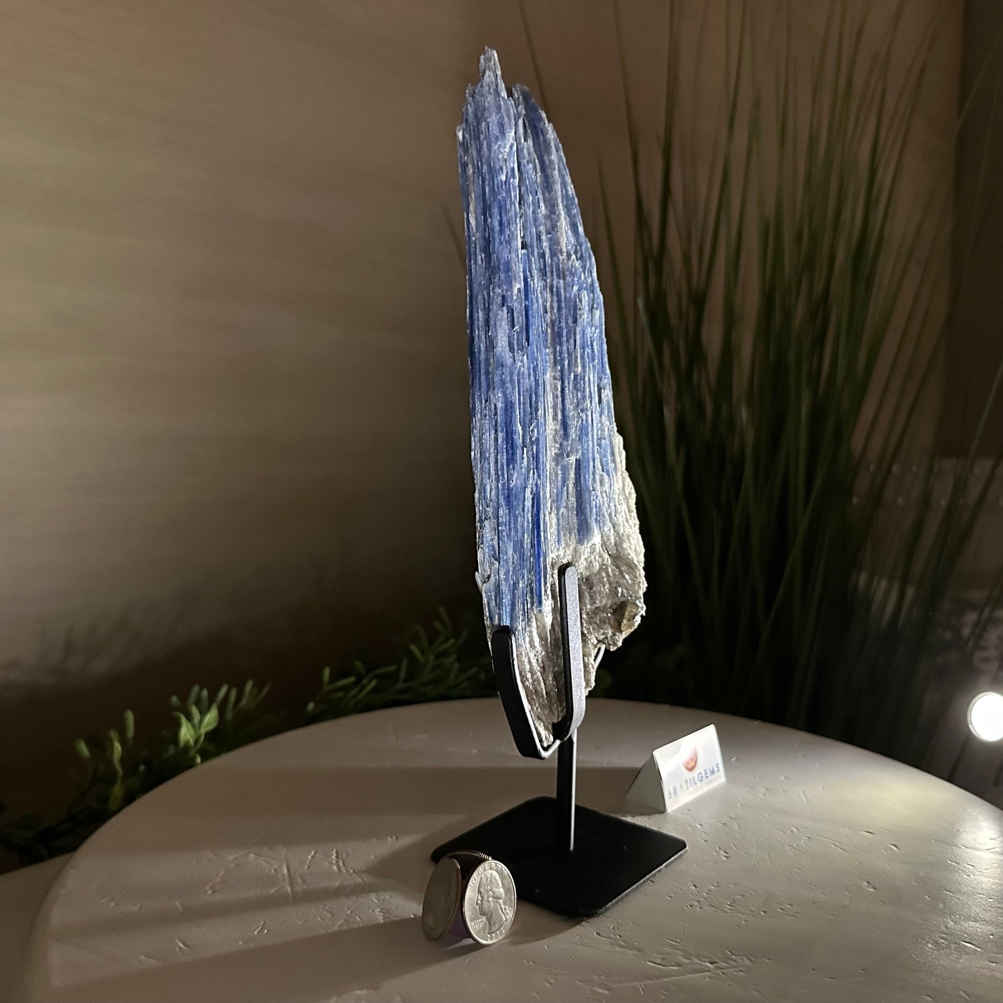 Kyanite Crystal on Metal Stand, 2.2 lbs & 11.1" Tall #6010 - 0010 - Brazil GemsBrazil GemsKyanite Crystal on Metal Stand, 2.2 lbs & 11.1" Tall #6010 - 0010Clusters on Fixed Bases6010 - 0010