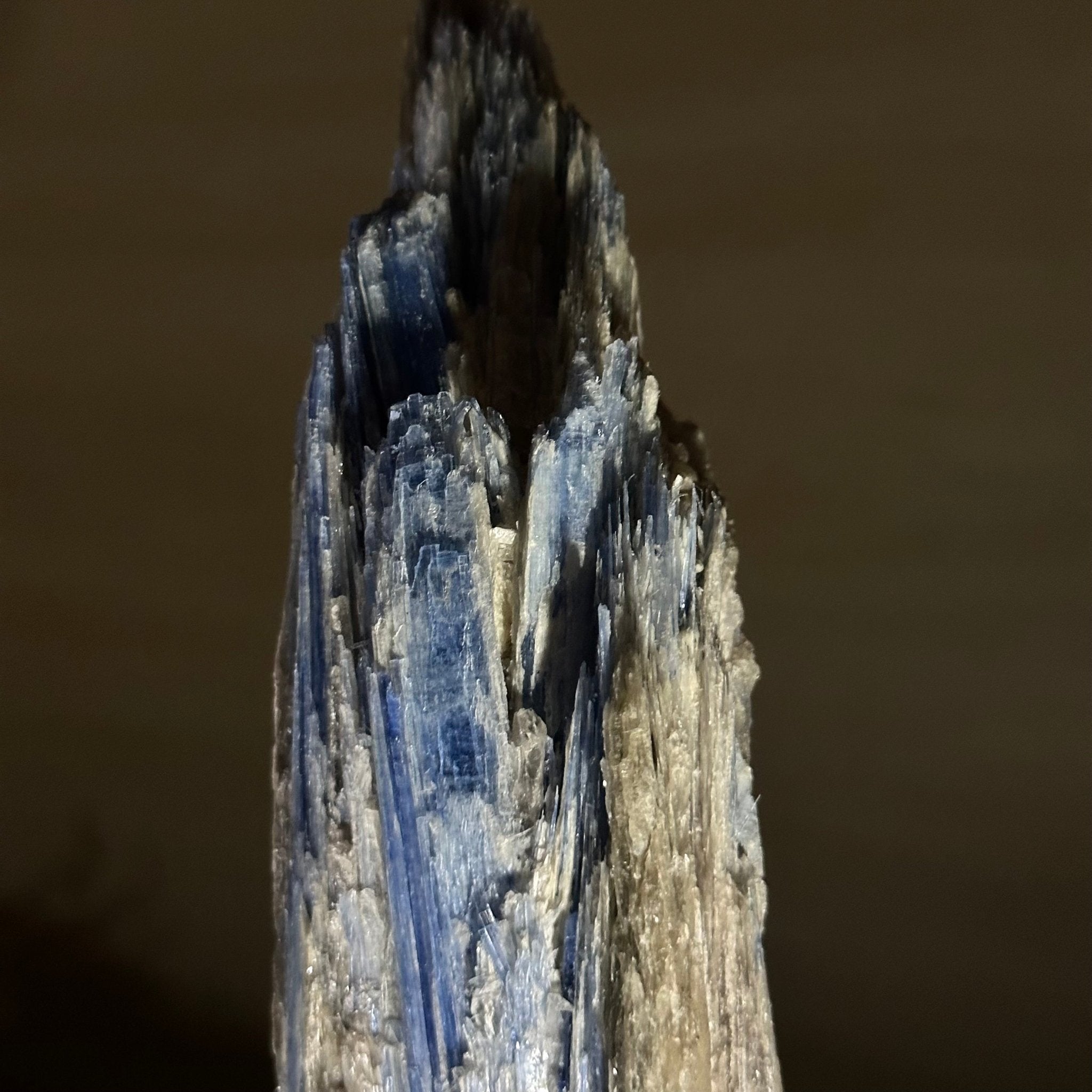 Kyanite Crystal on Metal Stand, 2.2 lbs & 11.4" Tall #6010 - 0011 - Brazil GemsBrazil GemsKyanite Crystal on Metal Stand, 2.2 lbs & 11.4" Tall #6010 - 0011Clusters on Fixed Bases6010 - 0011