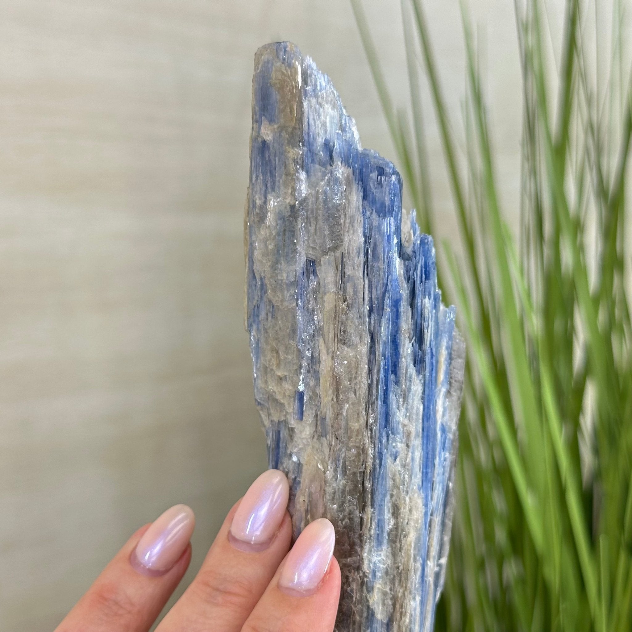 Kyanite Crystal on Metal Stand, 2.2 lbs & 11.4" Tall #6010 - 0011 - Brazil GemsBrazil GemsKyanite Crystal on Metal Stand, 2.2 lbs & 11.4" Tall #6010 - 0011Clusters on Fixed Bases6010 - 0011