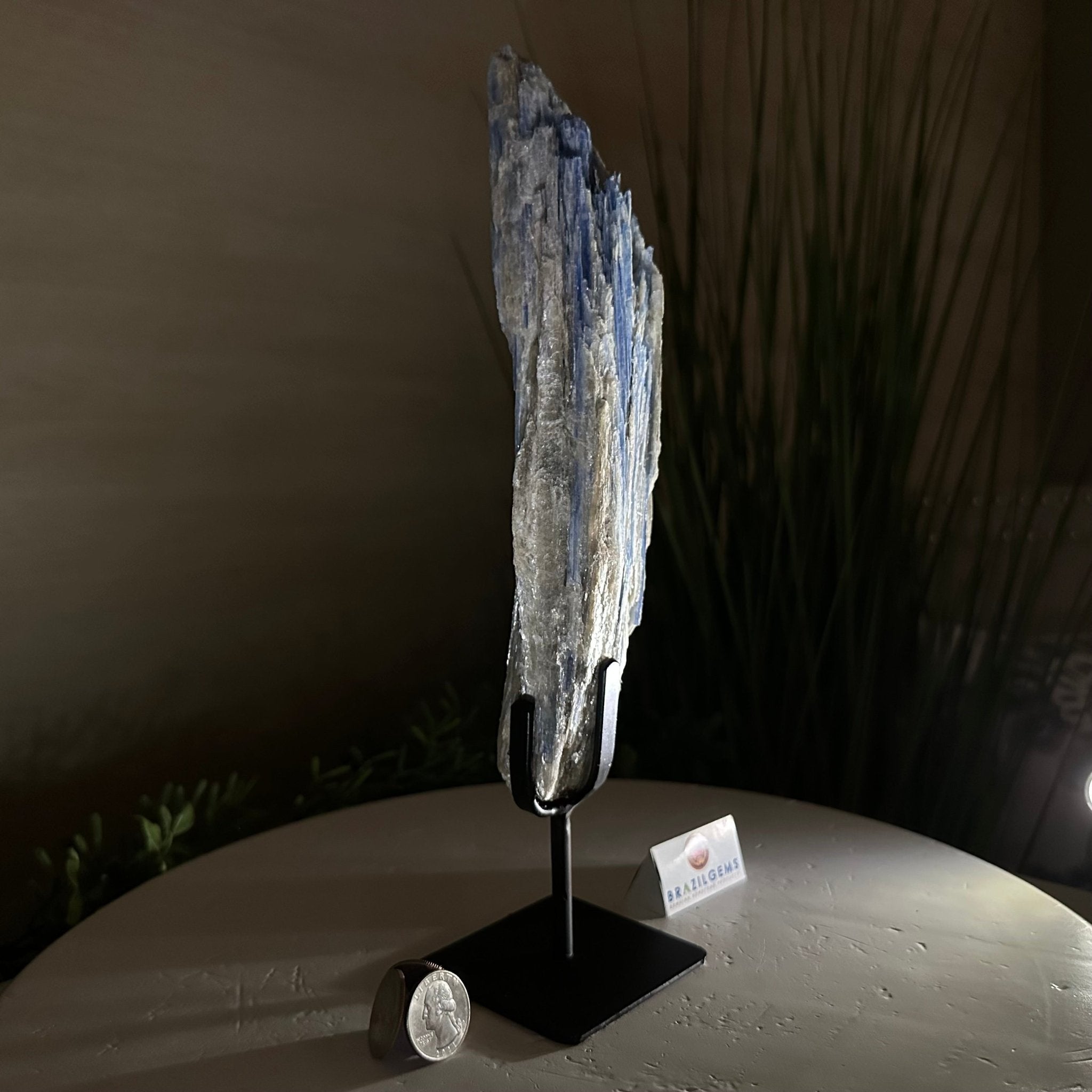 Kyanite Crystal on Metal Stand, 2.2 lbs & 11.4" Tall #6010 - 0011 - Brazil GemsBrazil GemsKyanite Crystal on Metal Stand, 2.2 lbs & 11.4" Tall #6010 - 0011Clusters on Fixed Bases6010 - 0011