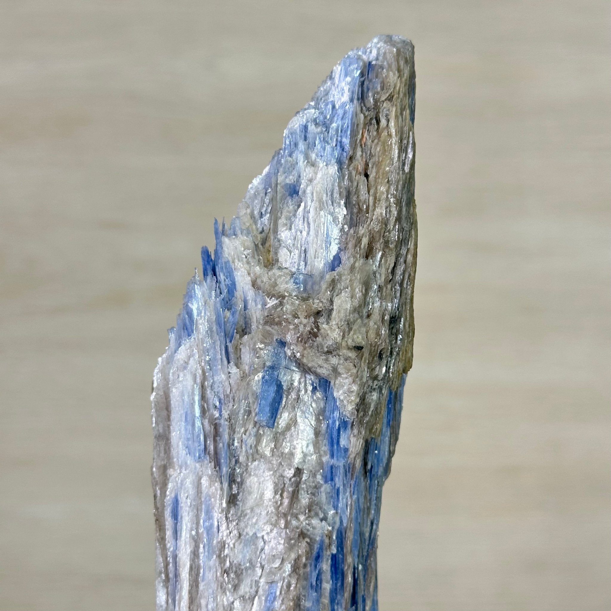 Kyanite Crystal on Metal Stand, 2.2 lbs & 11.4" Tall #6010 - 0011 - Brazil GemsBrazil GemsKyanite Crystal on Metal Stand, 2.2 lbs & 11.4" Tall #6010 - 0011Clusters on Fixed Bases6010 - 0011