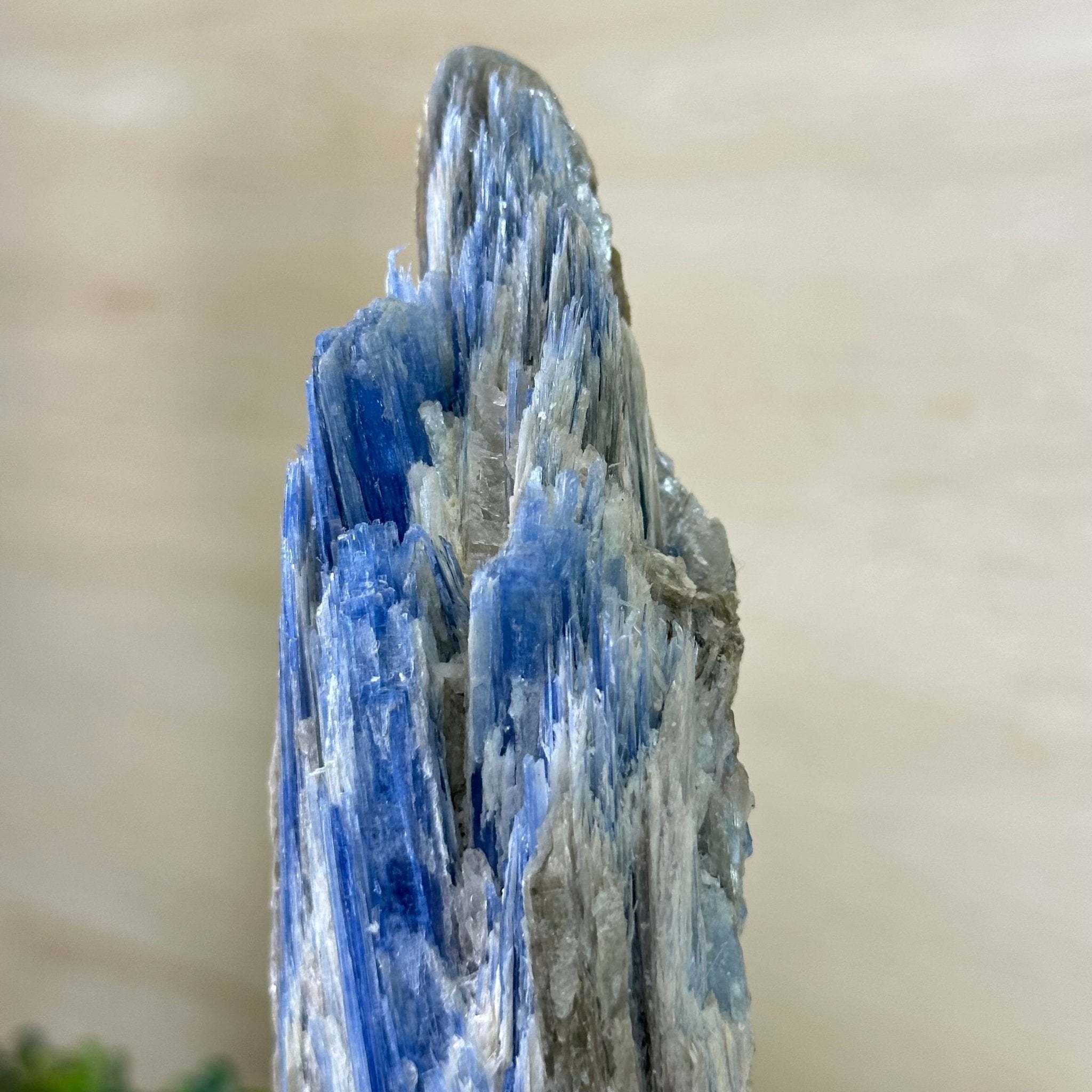 Kyanite Crystal on Metal Stand, 2.2 lbs & 11.4" Tall #6010 - 0011 - Brazil GemsBrazil GemsKyanite Crystal on Metal Stand, 2.2 lbs & 11.4" Tall #6010 - 0011Clusters on Fixed Bases6010 - 0011