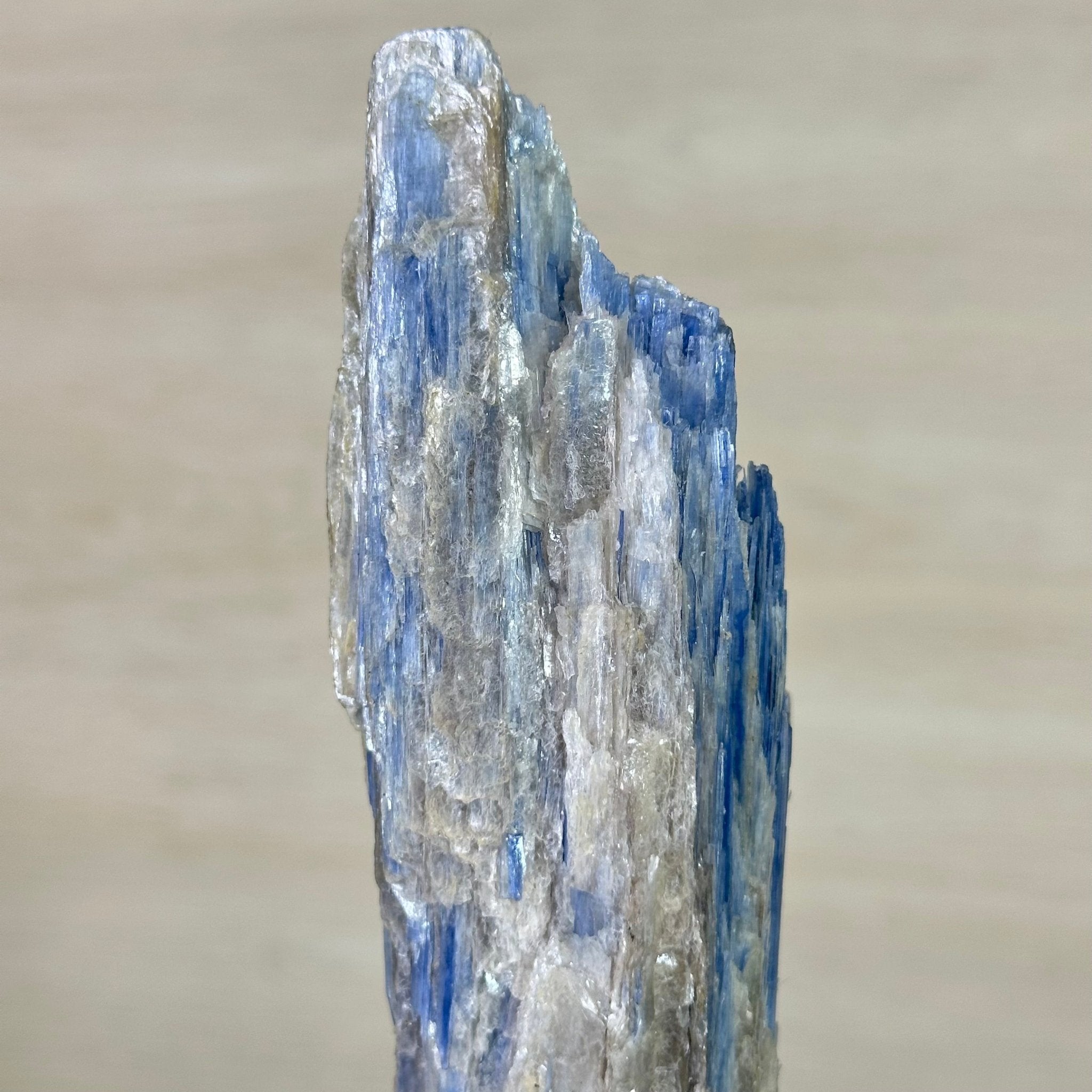 Kyanite Crystal on Metal Stand, 2.2 lbs & 11.4" Tall #6010 - 0011 - Brazil GemsBrazil GemsKyanite Crystal on Metal Stand, 2.2 lbs & 11.4" Tall #6010 - 0011Clusters on Fixed Bases6010 - 0011