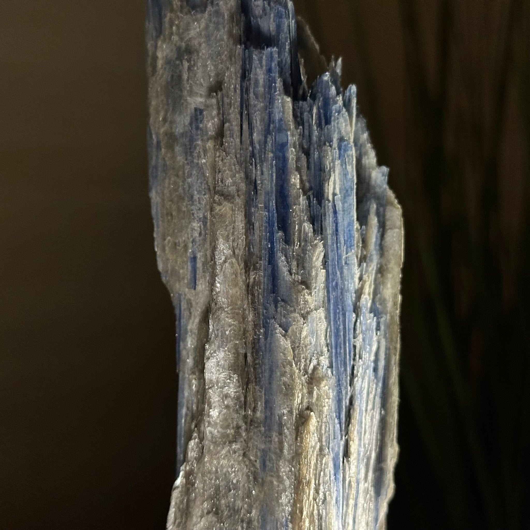 Kyanite Crystal on Metal Stand, 2.2 lbs & 11.4" Tall #6010 - 0011 - Brazil GemsBrazil GemsKyanite Crystal on Metal Stand, 2.2 lbs & 11.4" Tall #6010 - 0011Clusters on Fixed Bases6010 - 0011