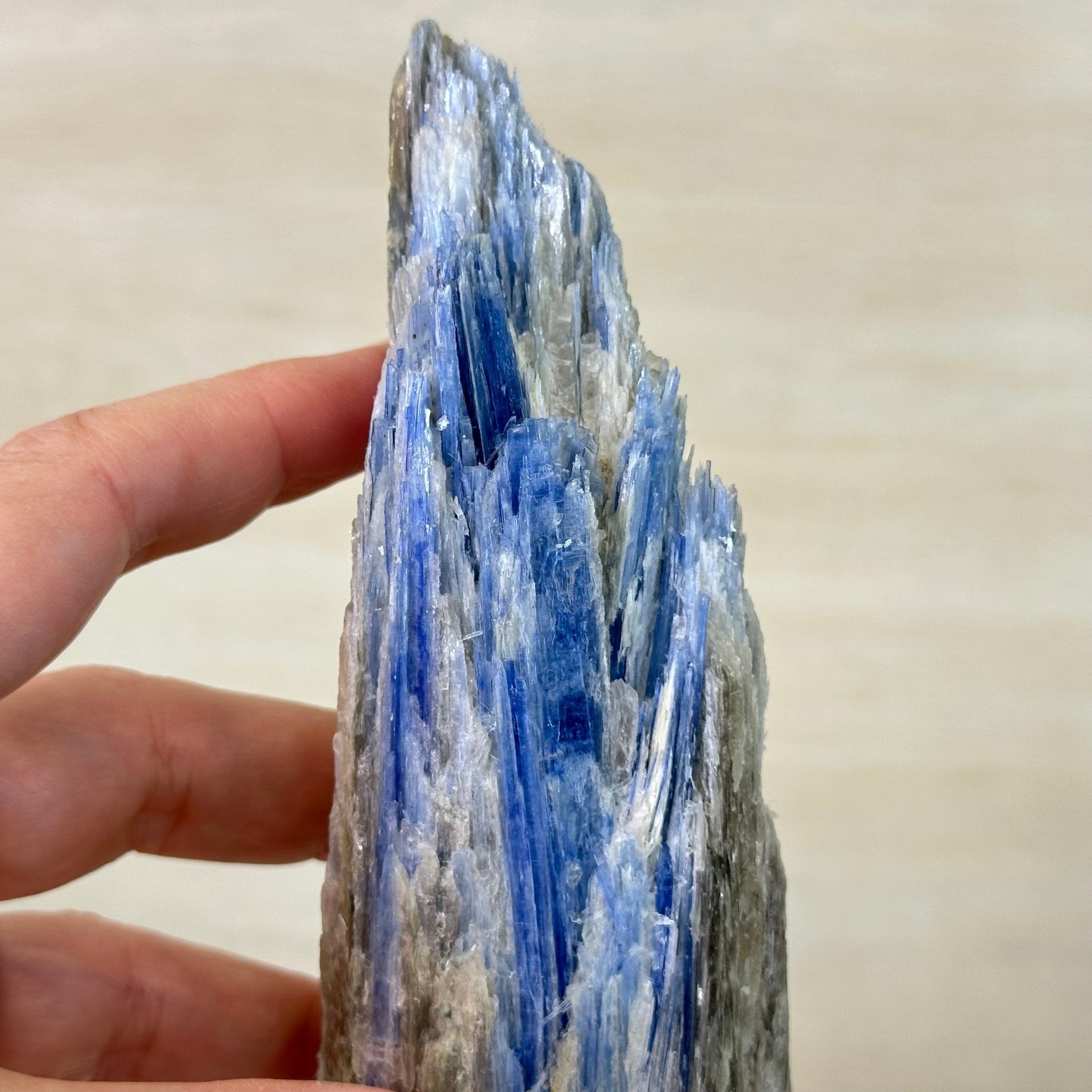 Kyanite Crystal on Metal Stand, 2.2 lbs & 11.4" Tall #6010 - 0011 - Brazil GemsBrazil GemsKyanite Crystal on Metal Stand, 2.2 lbs & 11.4" Tall #6010 - 0011Clusters on Fixed Bases6010 - 0011