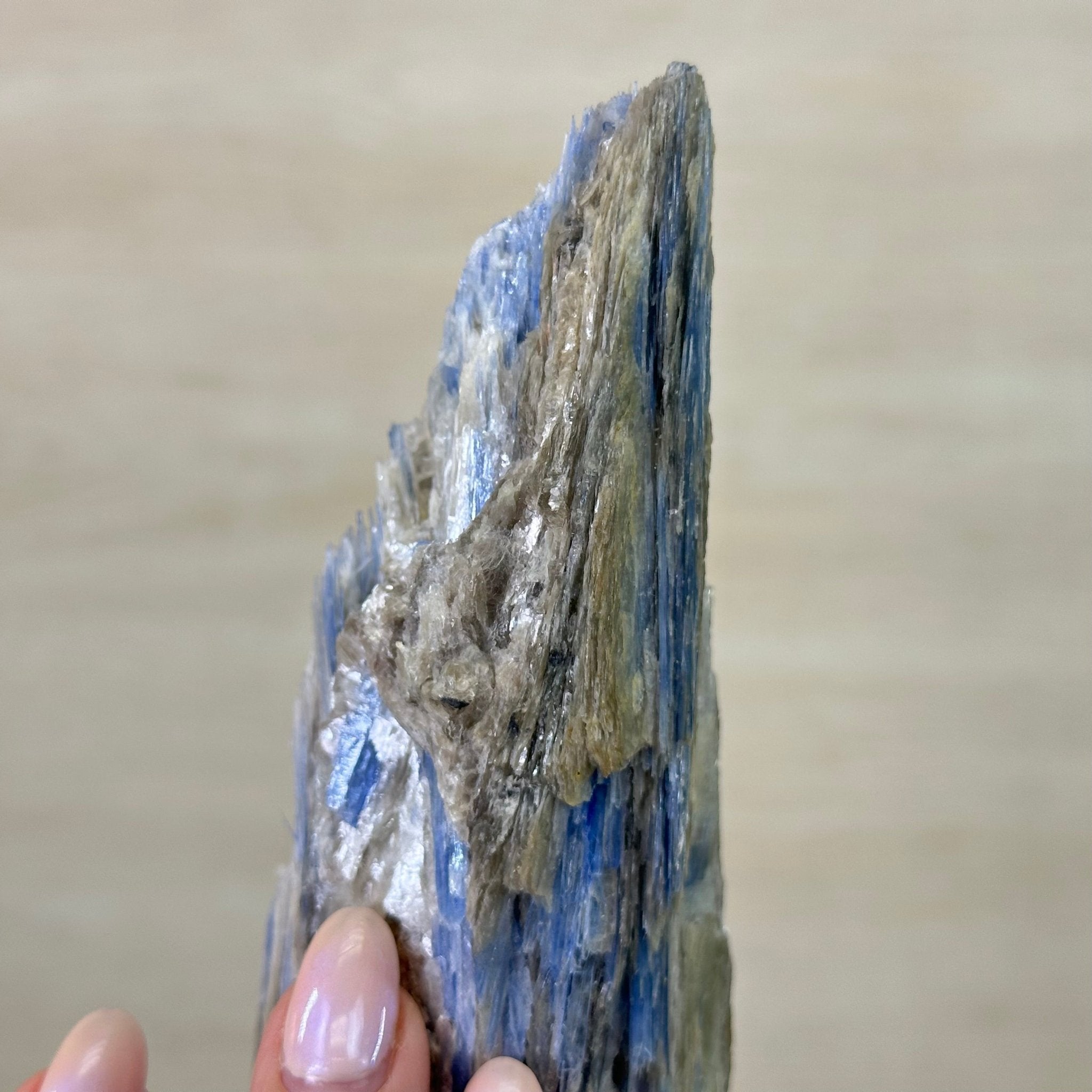 Kyanite Crystal on Metal Stand, 2.2 lbs & 11.4" Tall #6010 - 0011 - Brazil GemsBrazil GemsKyanite Crystal on Metal Stand, 2.2 lbs & 11.4" Tall #6010 - 0011Clusters on Fixed Bases6010 - 0011