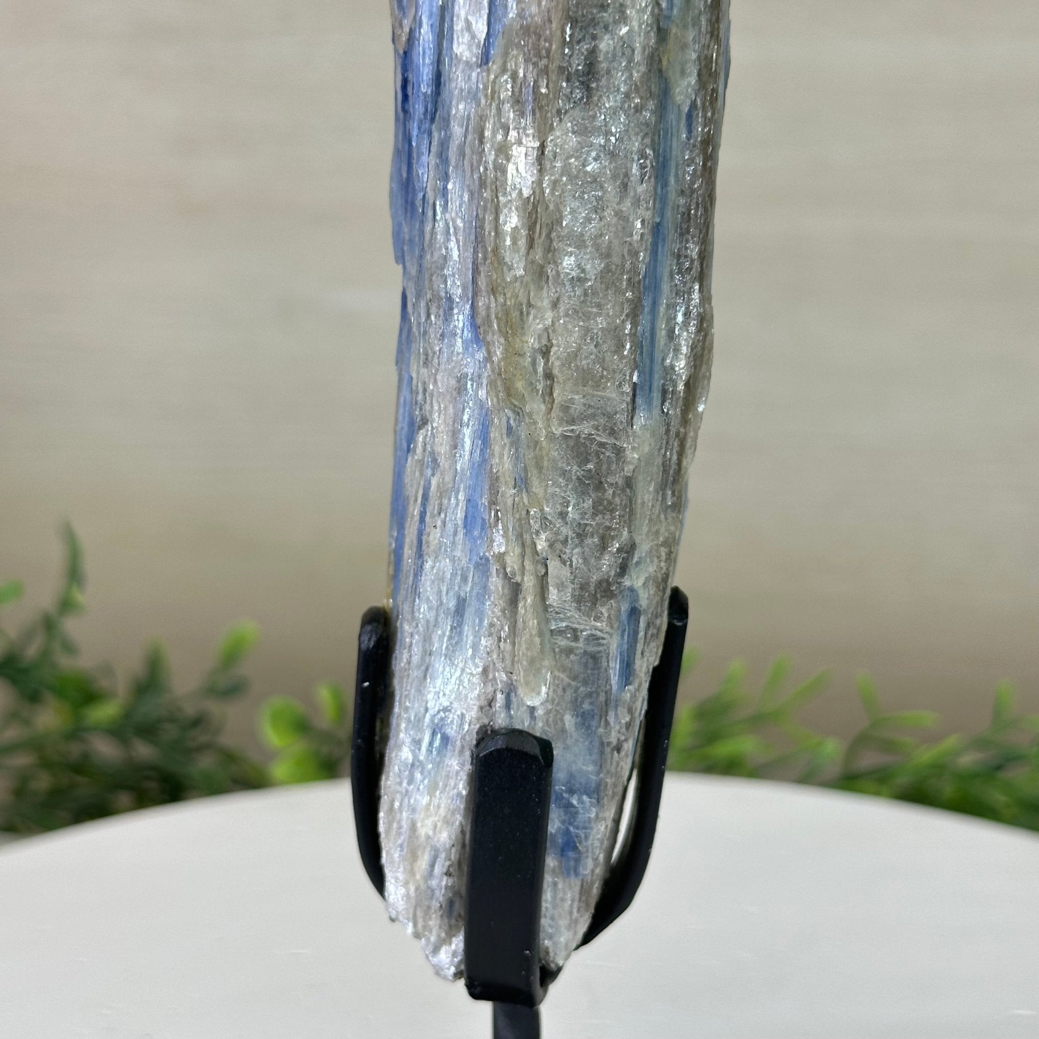 Kyanite Crystal on Metal Stand, 2.2 lbs & 11.4" Tall #6010 - 0011 - Brazil GemsBrazil GemsKyanite Crystal on Metal Stand, 2.2 lbs & 11.4" Tall #6010 - 0011Clusters on Fixed Bases6010 - 0011