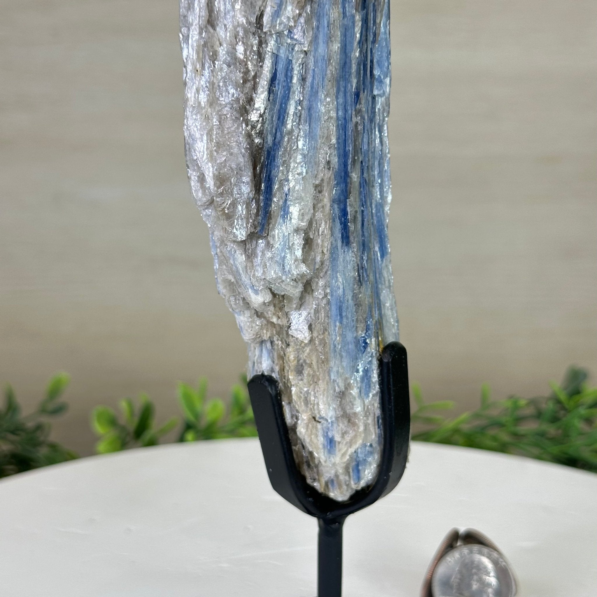 Kyanite Crystal on Metal Stand, 2.2 lbs & 11.4" Tall #6010 - 0011 - Brazil GemsBrazil GemsKyanite Crystal on Metal Stand, 2.2 lbs & 11.4" Tall #6010 - 0011Clusters on Fixed Bases6010 - 0011