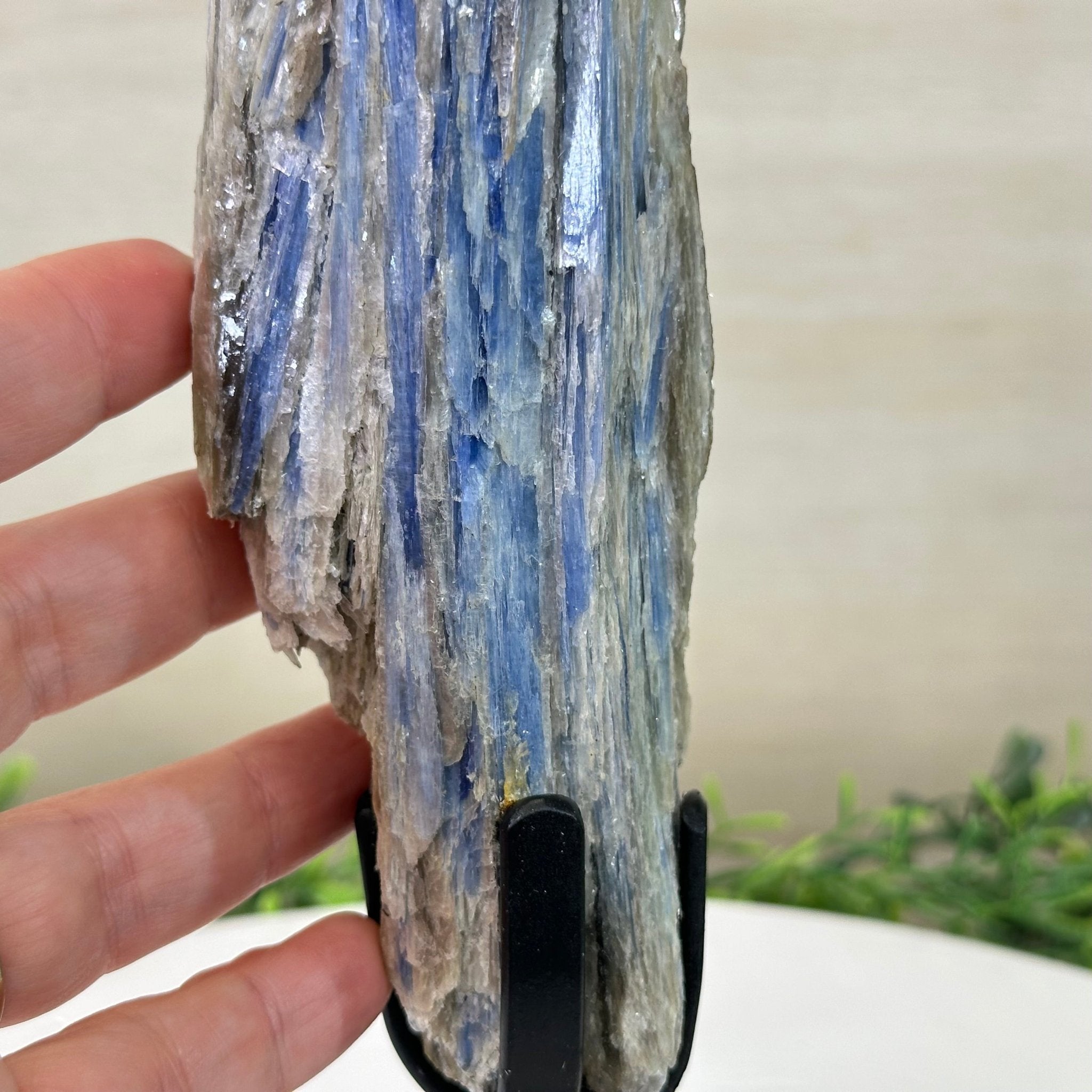 Kyanite Crystal on Metal Stand, 2.2 lbs & 11.4" Tall #6010 - 0011 - Brazil GemsBrazil GemsKyanite Crystal on Metal Stand, 2.2 lbs & 11.4" Tall #6010 - 0011Clusters on Fixed Bases6010 - 0011