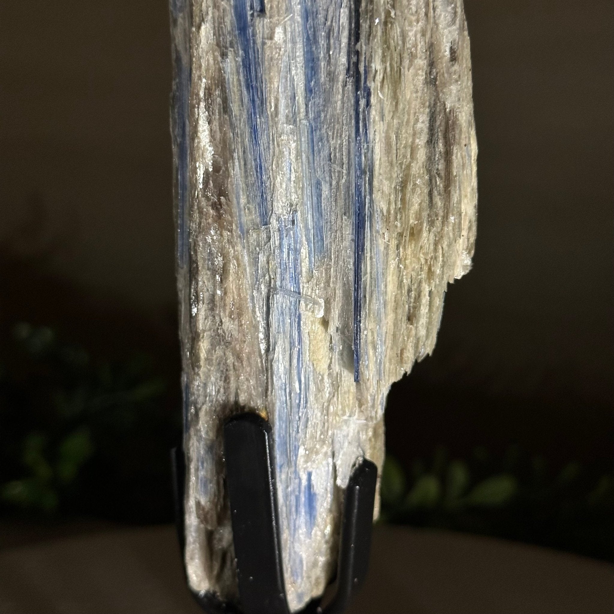 Kyanite Crystal on Metal Stand, 2.2 lbs & 11.4" Tall #6010 - 0011 - Brazil GemsBrazil GemsKyanite Crystal on Metal Stand, 2.2 lbs & 11.4" Tall #6010 - 0011Clusters on Fixed Bases6010 - 0011