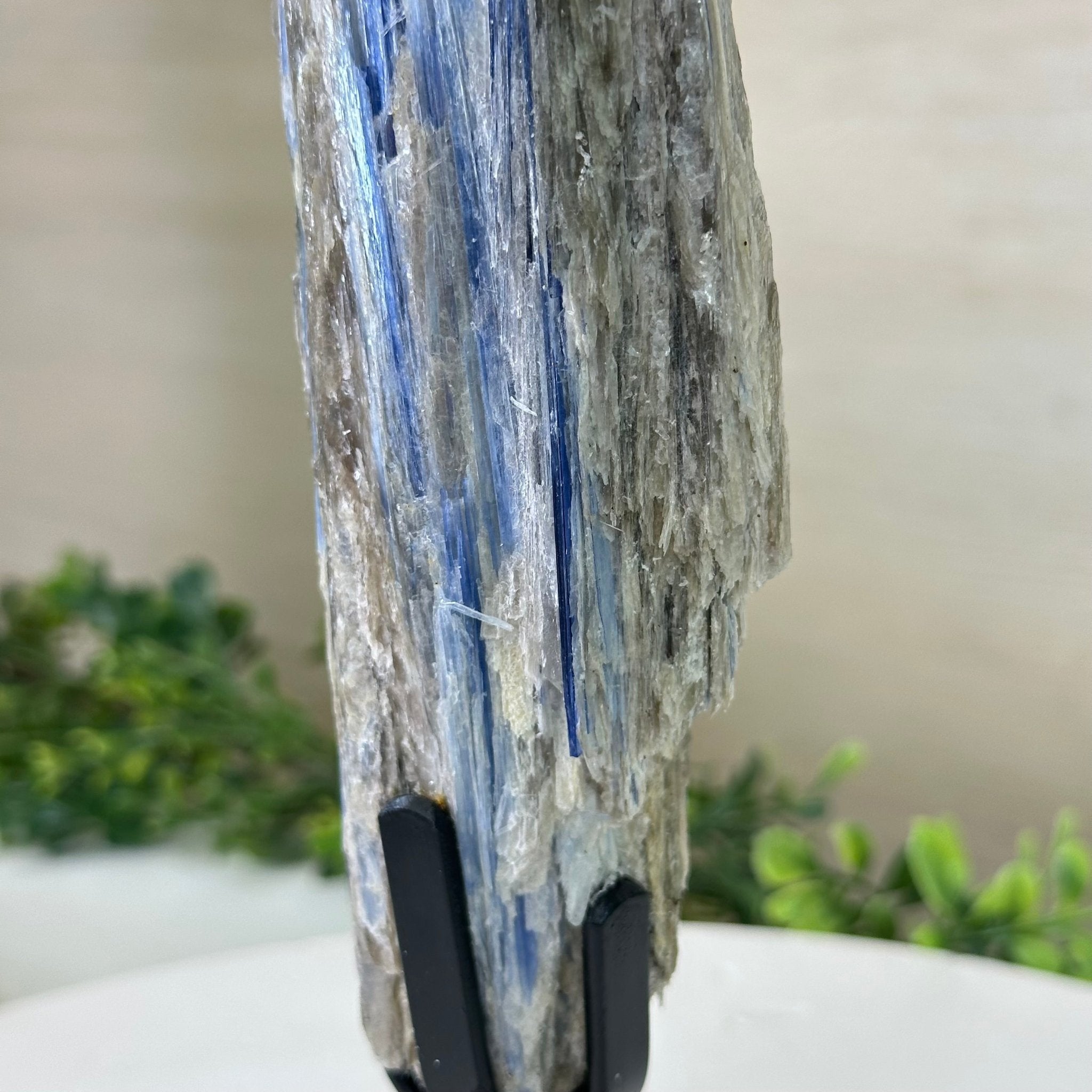 Kyanite Crystal on Metal Stand, 2.2 lbs & 11.4" Tall #6010 - 0011 - Brazil GemsBrazil GemsKyanite Crystal on Metal Stand, 2.2 lbs & 11.4" Tall #6010 - 0011Clusters on Fixed Bases6010 - 0011