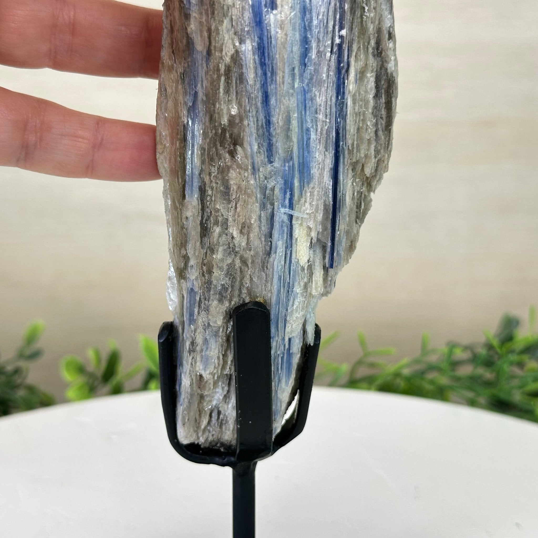 Kyanite Crystal on Metal Stand, 2.2 lbs & 11.4" Tall #6010 - 0011 - Brazil GemsBrazil GemsKyanite Crystal on Metal Stand, 2.2 lbs & 11.4" Tall #6010 - 0011Clusters on Fixed Bases6010 - 0011