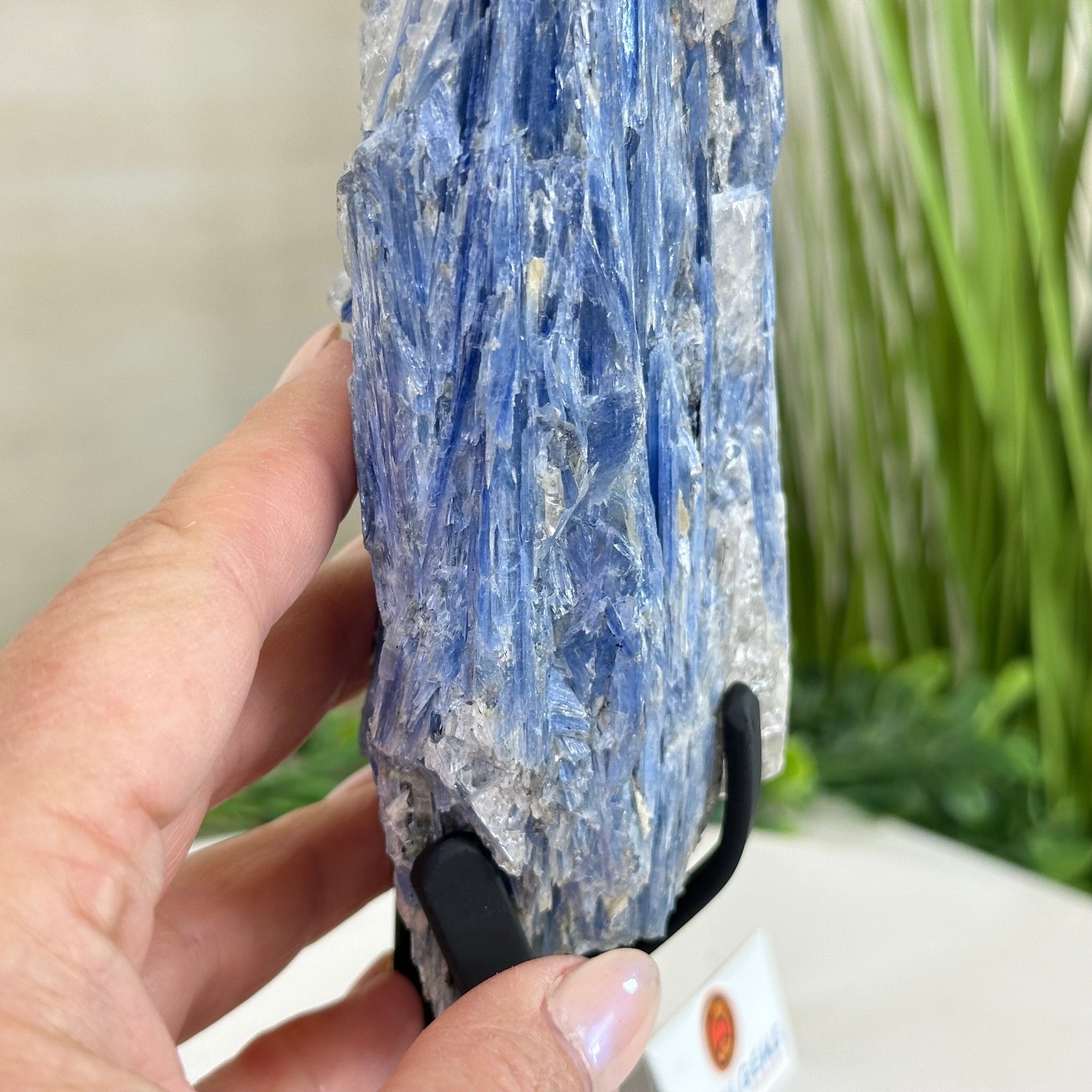 Kyanite Crystal on Metal Stand, 2.3 lbs & 10.6" Tall #6010 - 0014 - Brazil GemsBrazil GemsKyanite Crystal on Metal Stand, 2.3 lbs & 10.6" Tall #6010 - 0014Clusters on Fixed Bases6010 - 0014