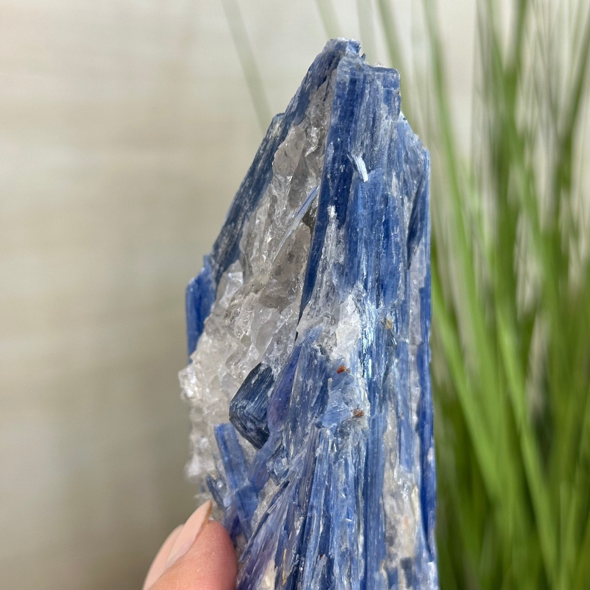 Kyanite Crystal on Metal Stand, 2.3 lbs & 10.6" Tall #6010 - 0014 - Brazil GemsBrazil GemsKyanite Crystal on Metal Stand, 2.3 lbs & 10.6" Tall #6010 - 0014Clusters on Fixed Bases6010 - 0014