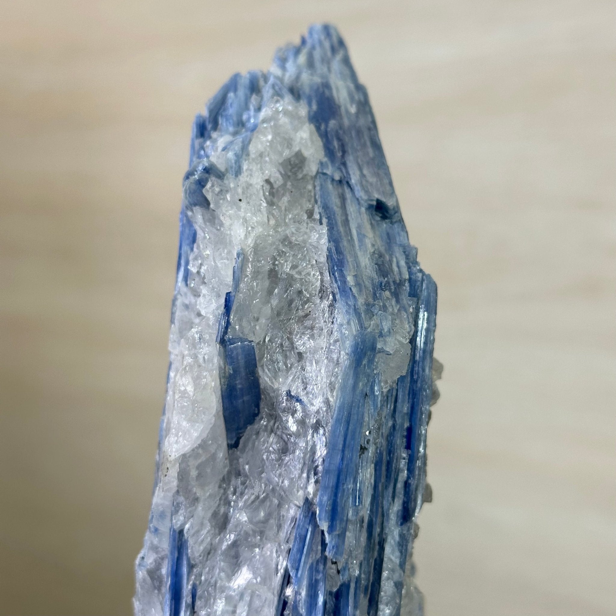 Kyanite Crystal on Metal Stand, 2.3 lbs & 10.6" Tall #6010 - 0014 - Brazil GemsBrazil GemsKyanite Crystal on Metal Stand, 2.3 lbs & 10.6" Tall #6010 - 0014Clusters on Fixed Bases6010 - 0014