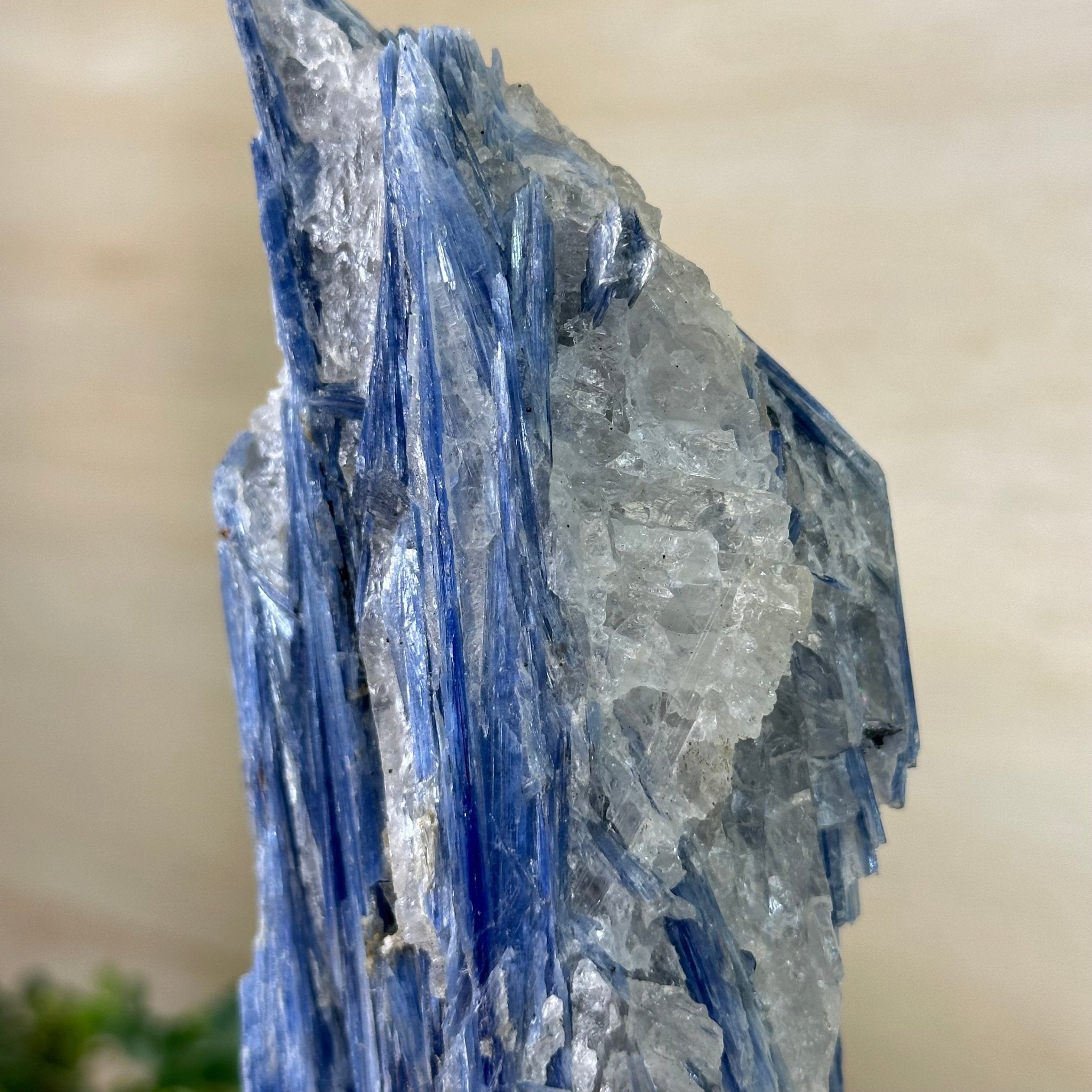 Kyanite Crystal on Metal Stand, 2.3 lbs & 10.6" Tall #6010 - 0014 - Brazil GemsBrazil GemsKyanite Crystal on Metal Stand, 2.3 lbs & 10.6" Tall #6010 - 0014Clusters on Fixed Bases6010 - 0014