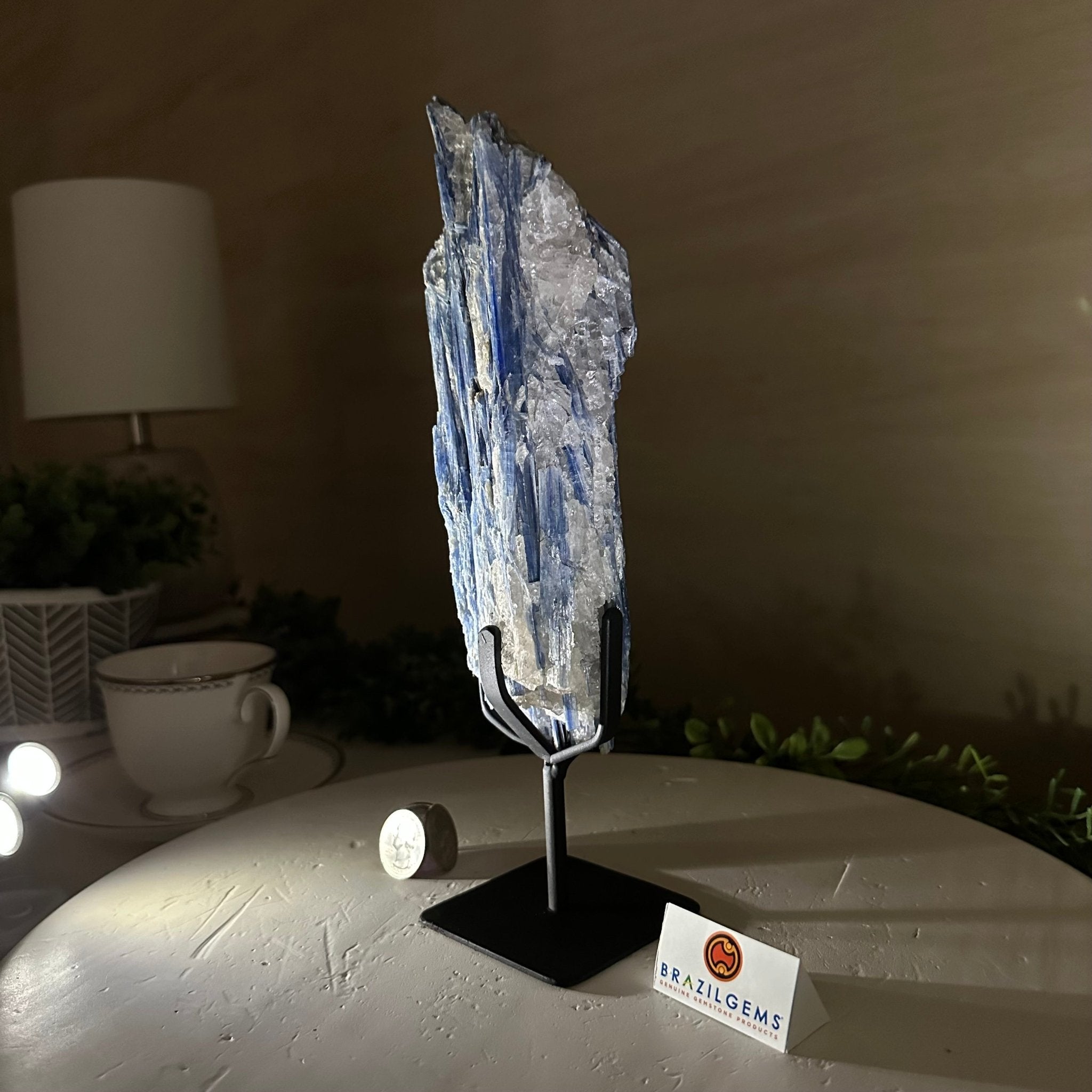 Kyanite Crystal on Metal Stand, 2.3 lbs & 10.6" Tall #6010 - 0014 - Brazil GemsBrazil GemsKyanite Crystal on Metal Stand, 2.3 lbs & 10.6" Tall #6010 - 0014Clusters on Fixed Bases6010 - 0014