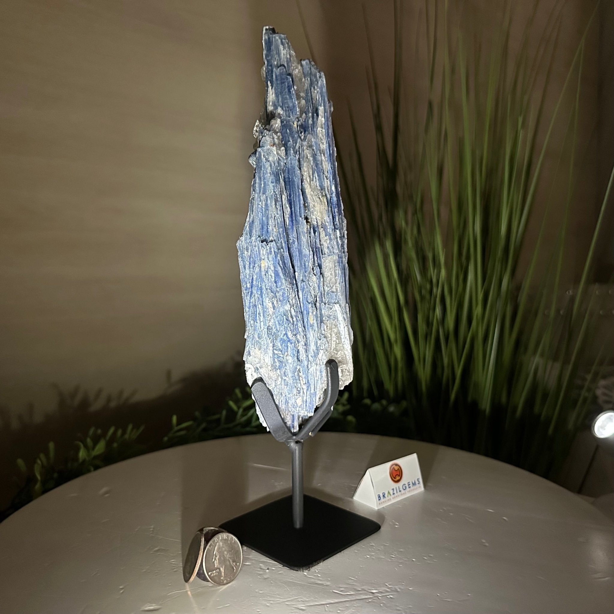 Kyanite Crystal on Metal Stand, 2.3 lbs & 10.6" Tall #6010 - 0014 - Brazil GemsBrazil GemsKyanite Crystal on Metal Stand, 2.3 lbs & 10.6" Tall #6010 - 0014Clusters on Fixed Bases6010 - 0014