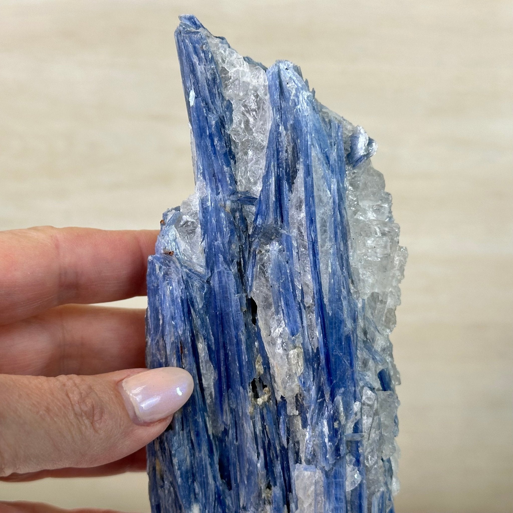 Kyanite Crystal on Metal Stand, 2.3 lbs & 10.6" Tall #6010 - 0014 - Brazil GemsBrazil GemsKyanite Crystal on Metal Stand, 2.3 lbs & 10.6" Tall #6010 - 0014Clusters on Fixed Bases6010 - 0014