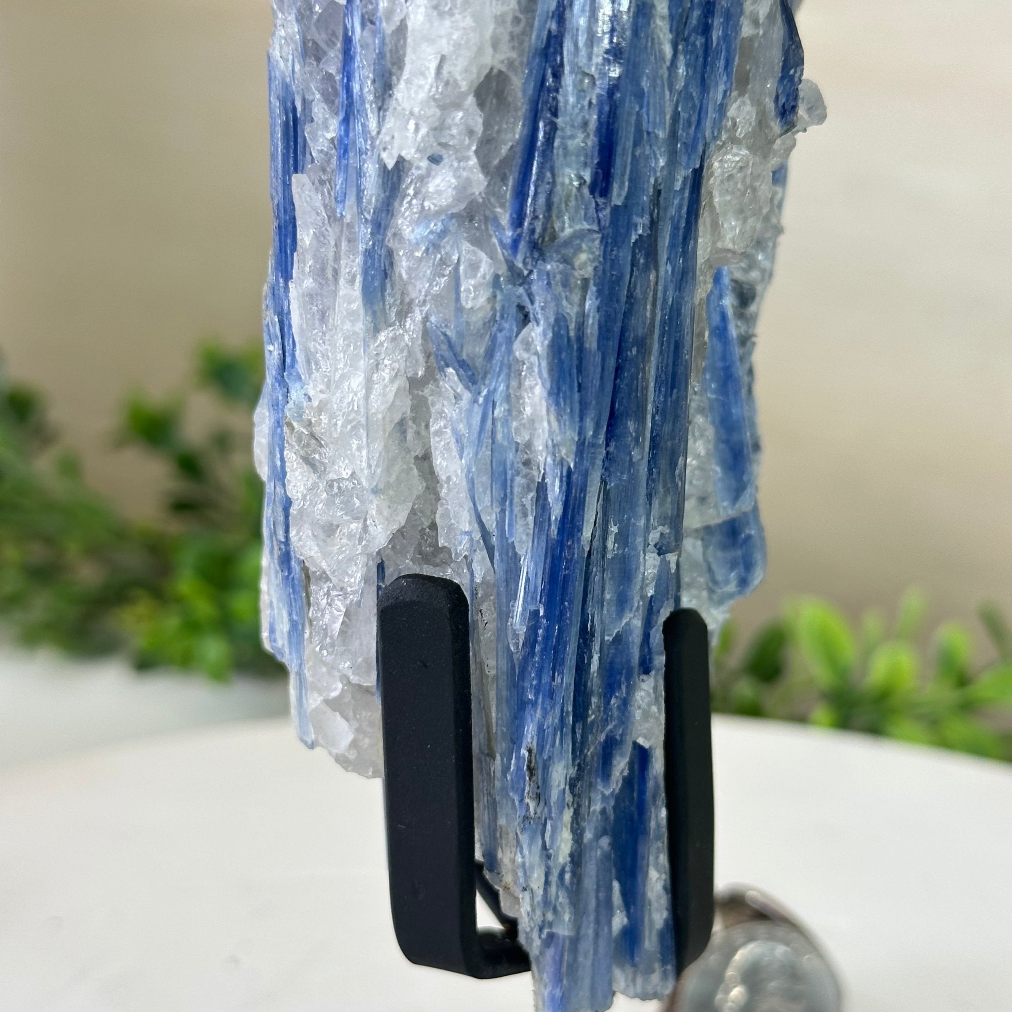 Kyanite Crystal on Metal Stand, 2.3 lbs & 10.6" Tall #6010 - 0014 - Brazil GemsBrazil GemsKyanite Crystal on Metal Stand, 2.3 lbs & 10.6" Tall #6010 - 0014Clusters on Fixed Bases6010 - 0014