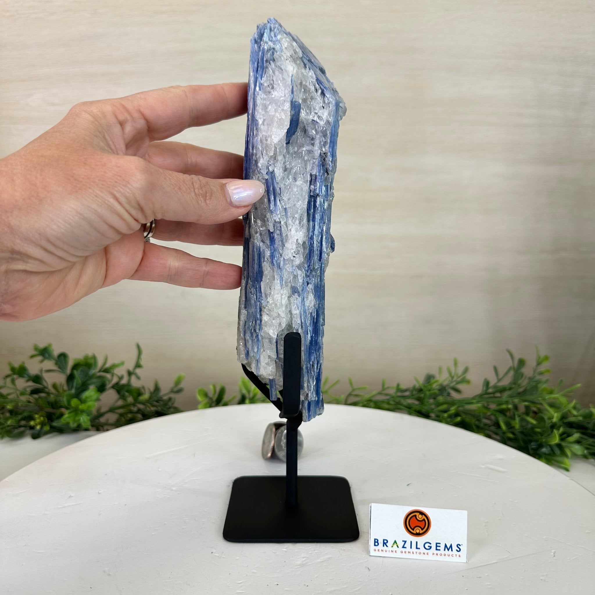 Kyanite Crystal on Metal Stand, 2.3 lbs & 10.6" Tall #6010 - 0014 - Brazil GemsBrazil GemsKyanite Crystal on Metal Stand, 2.3 lbs & 10.6" Tall #6010 - 0014Clusters on Fixed Bases6010 - 0014