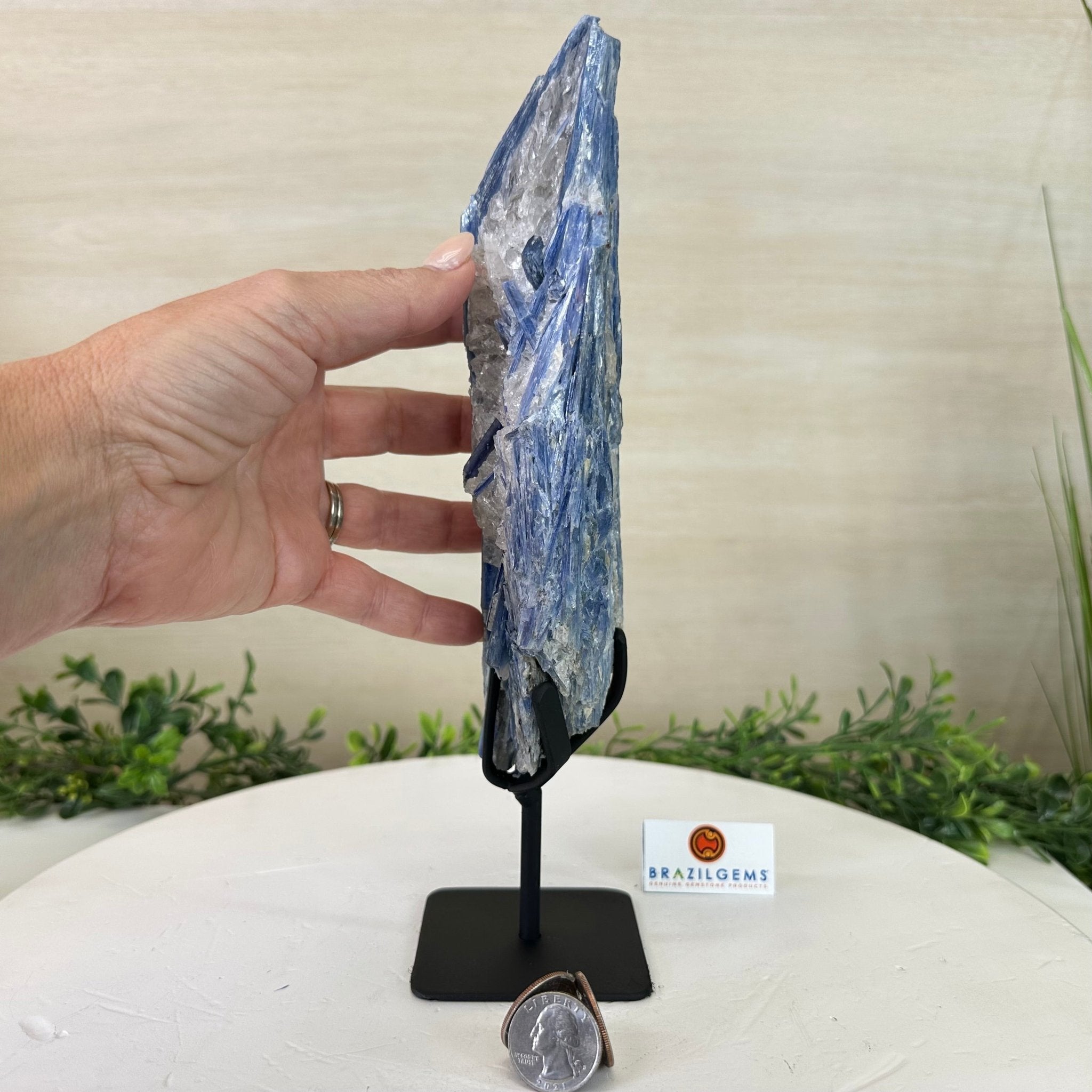 Kyanite Crystal on Metal Stand, 2.3 lbs & 10.6" Tall #6010 - 0014 - Brazil GemsBrazil GemsKyanite Crystal on Metal Stand, 2.3 lbs & 10.6" Tall #6010 - 0014Clusters on Fixed Bases6010 - 0014