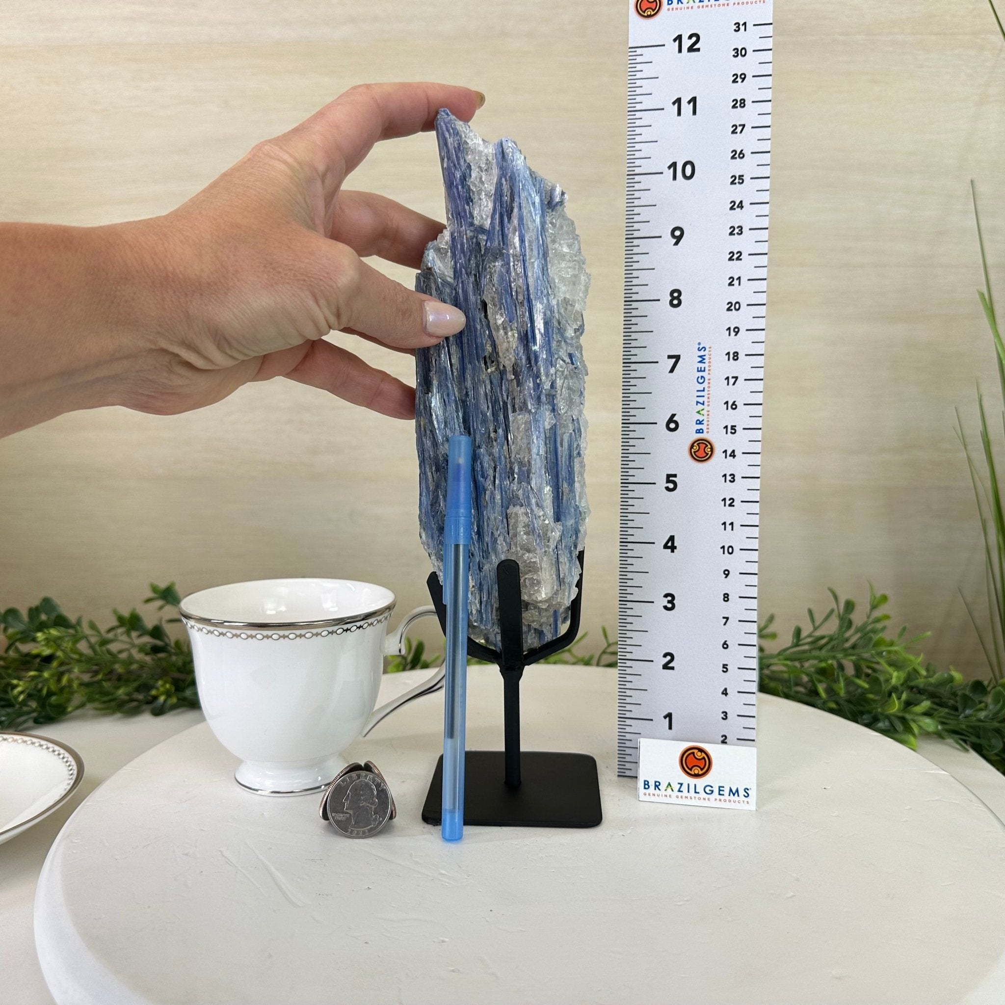 Kyanite Crystal on Metal Stand, 2.3 lbs & 10.6" Tall #6010 - 0014 - Brazil GemsBrazil GemsKyanite Crystal on Metal Stand, 2.3 lbs & 10.6" Tall #6010 - 0014Clusters on Fixed Bases6010 - 0014