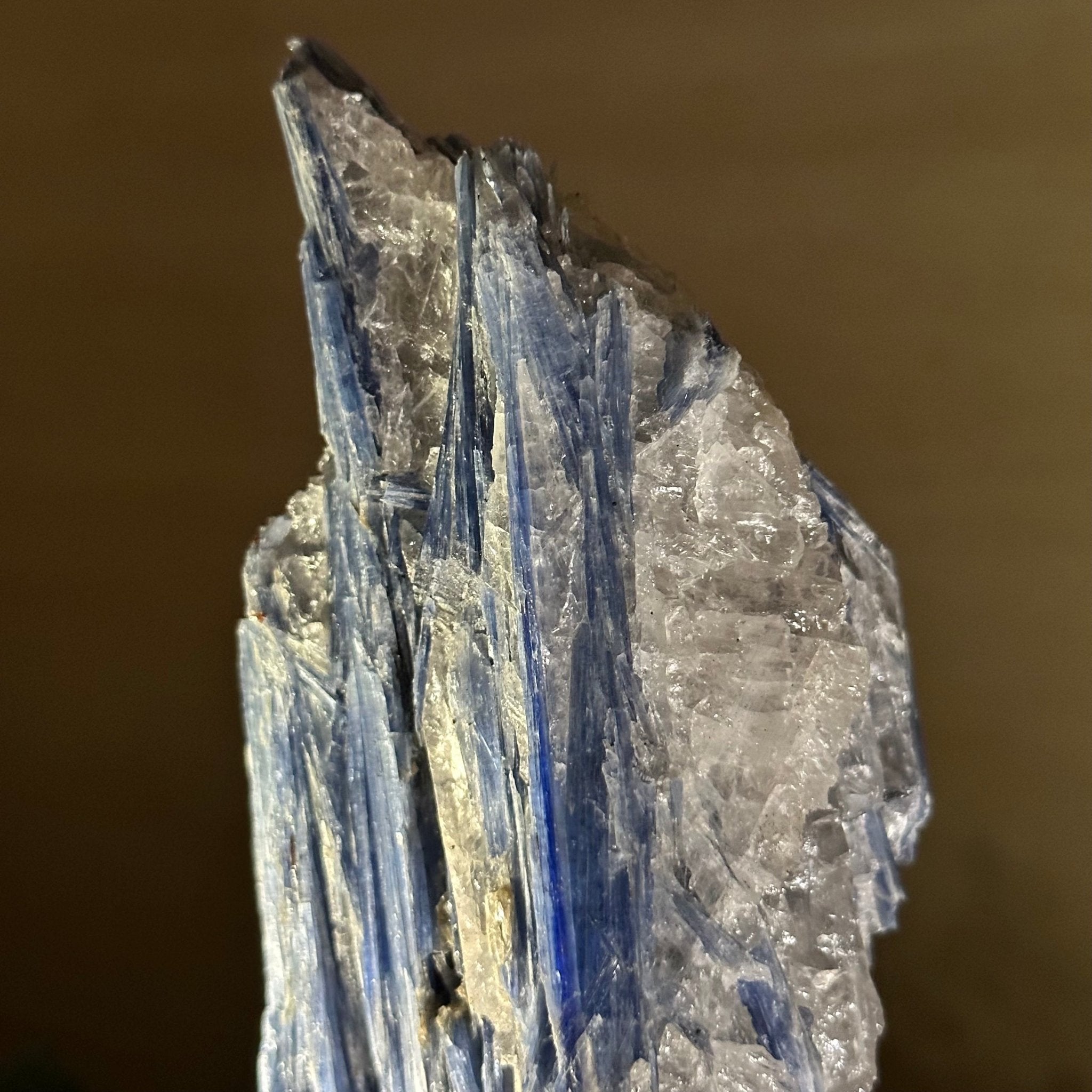 Kyanite Crystal on Metal Stand, 2.3 lbs & 10.6" Tall #6010 - 0014 - Brazil GemsBrazil GemsKyanite Crystal on Metal Stand, 2.3 lbs & 10.6" Tall #6010 - 0014Clusters on Fixed Bases6010 - 0014