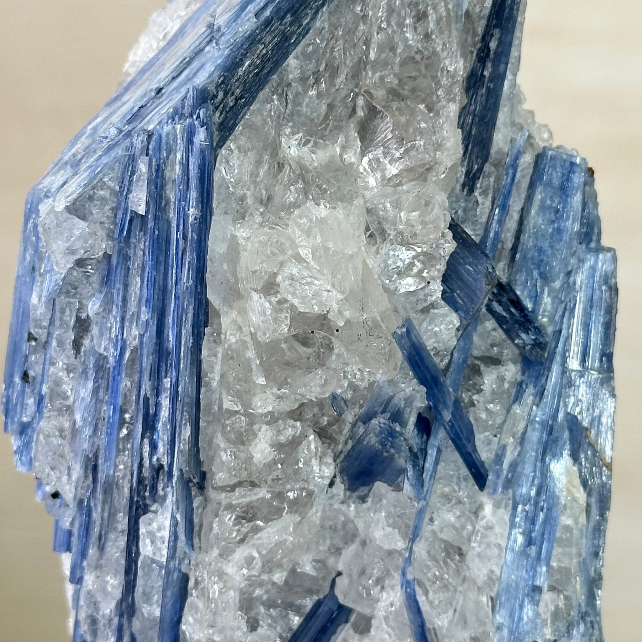 Kyanite Crystal on Metal Stand, 2.3 lbs & 10.6" Tall #6010 - 0014 - Brazil GemsBrazil GemsKyanite Crystal on Metal Stand, 2.3 lbs & 10.6" Tall #6010 - 0014Clusters on Fixed Bases6010 - 0014