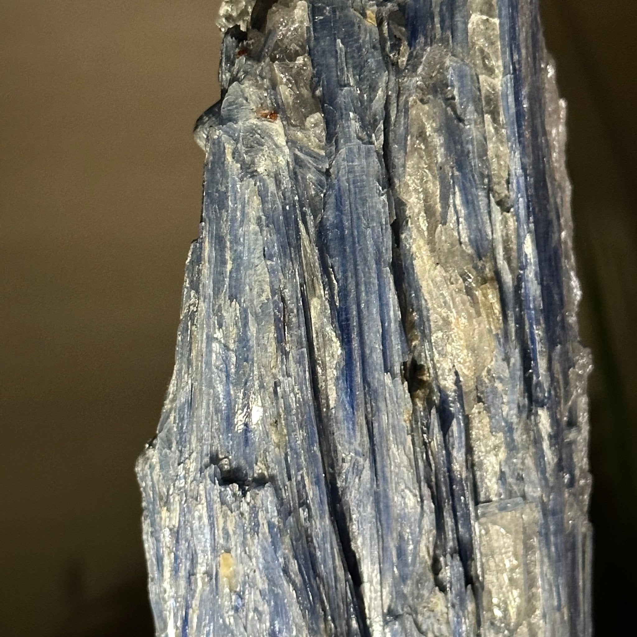 Kyanite Crystal on Metal Stand, 2.3 lbs & 10.6" Tall #6010 - 0014 - Brazil GemsBrazil GemsKyanite Crystal on Metal Stand, 2.3 lbs & 10.6" Tall #6010 - 0014Clusters on Fixed Bases6010 - 0014