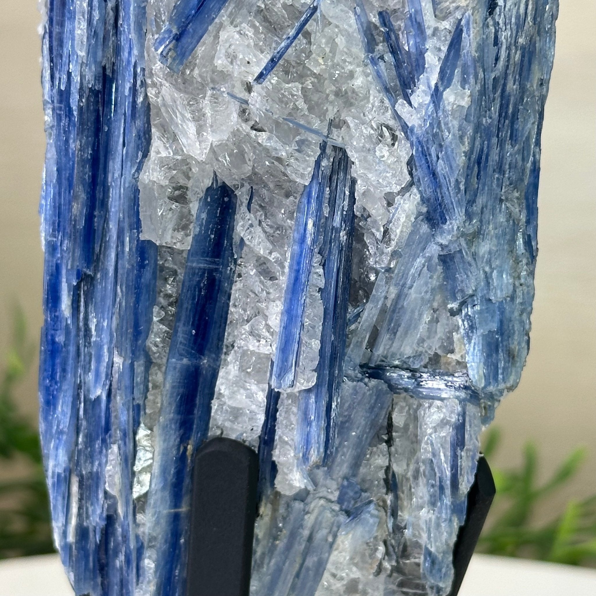 Kyanite Crystal on Metal Stand, 2.3 lbs & 10.6" Tall #6010 - 0014 - Brazil GemsBrazil GemsKyanite Crystal on Metal Stand, 2.3 lbs & 10.6" Tall #6010 - 0014Clusters on Fixed Bases6010 - 0014